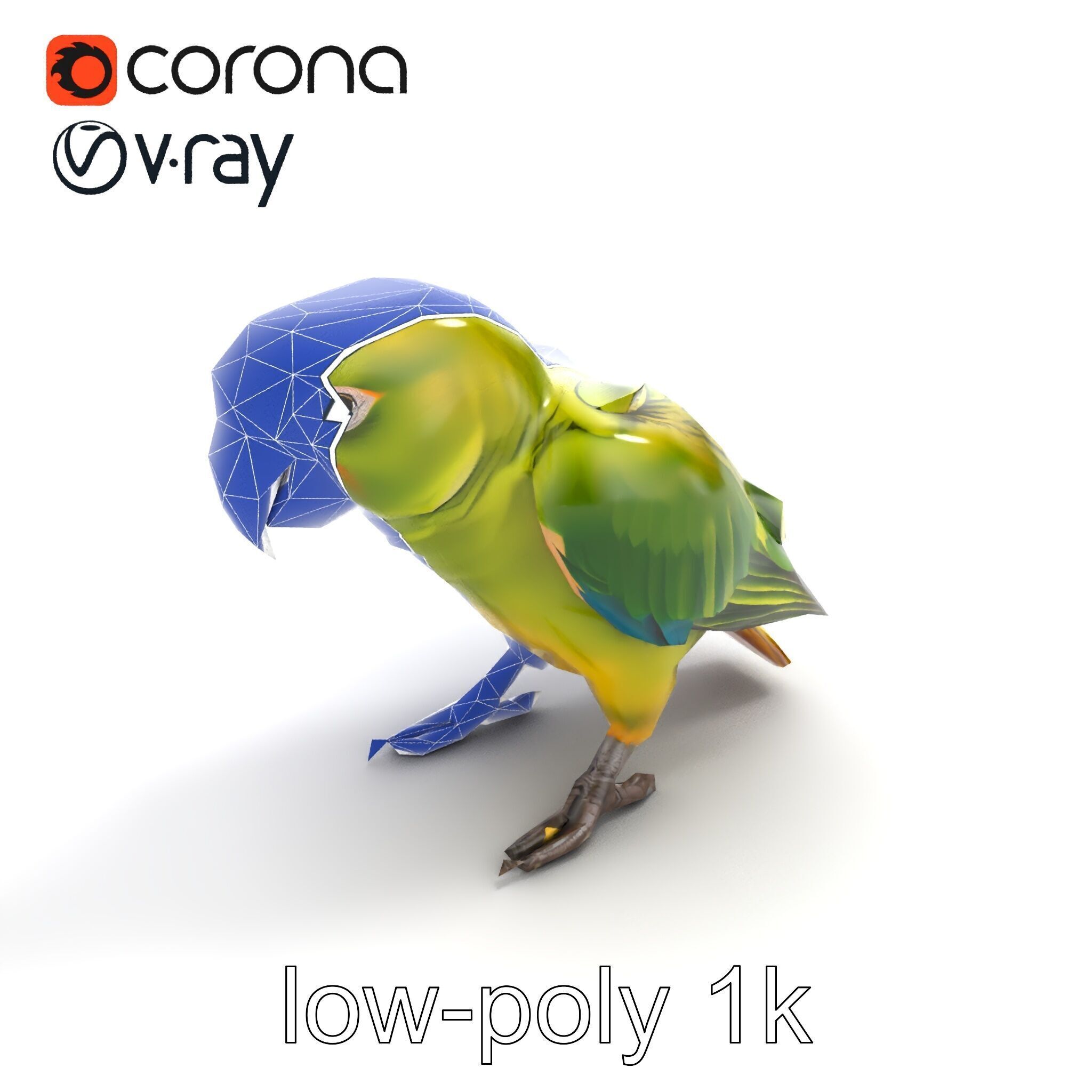 Amazon Parrot Realistic Bird 3D Model Pack Low-poly 3D model_23