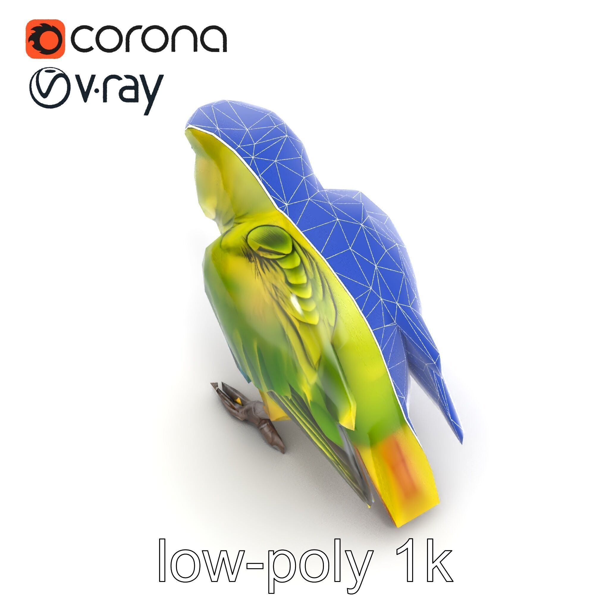 Amazon Parrot Realistic Bird 3D Model Pack Low-poly 3D model_18