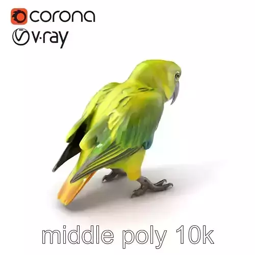 Amazon Parrot Realistic Bird 3D Model Pack Low-poly 3D model