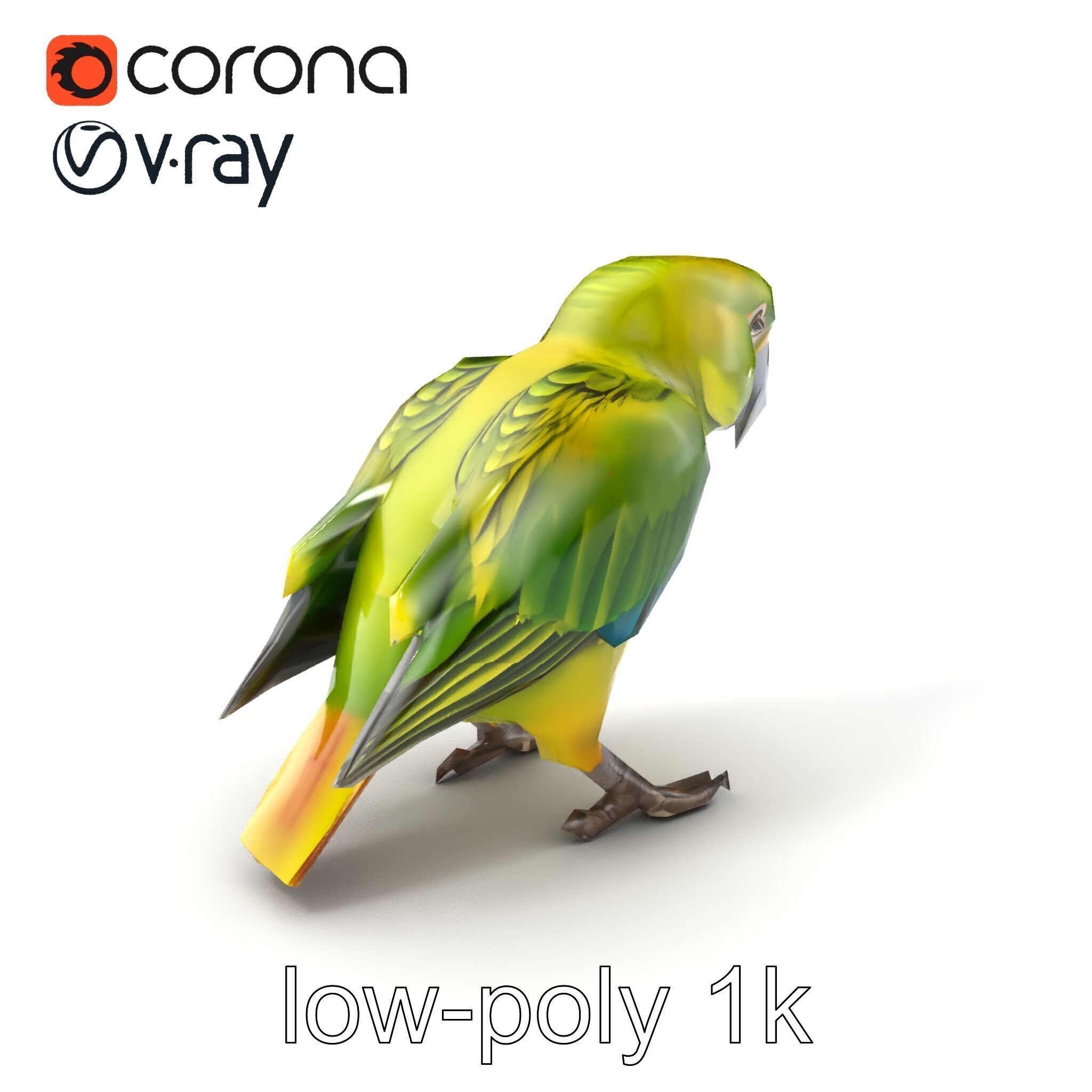 Amazon Parrot Realistic Bird 3D Model Pack Low-poly 3D model_4