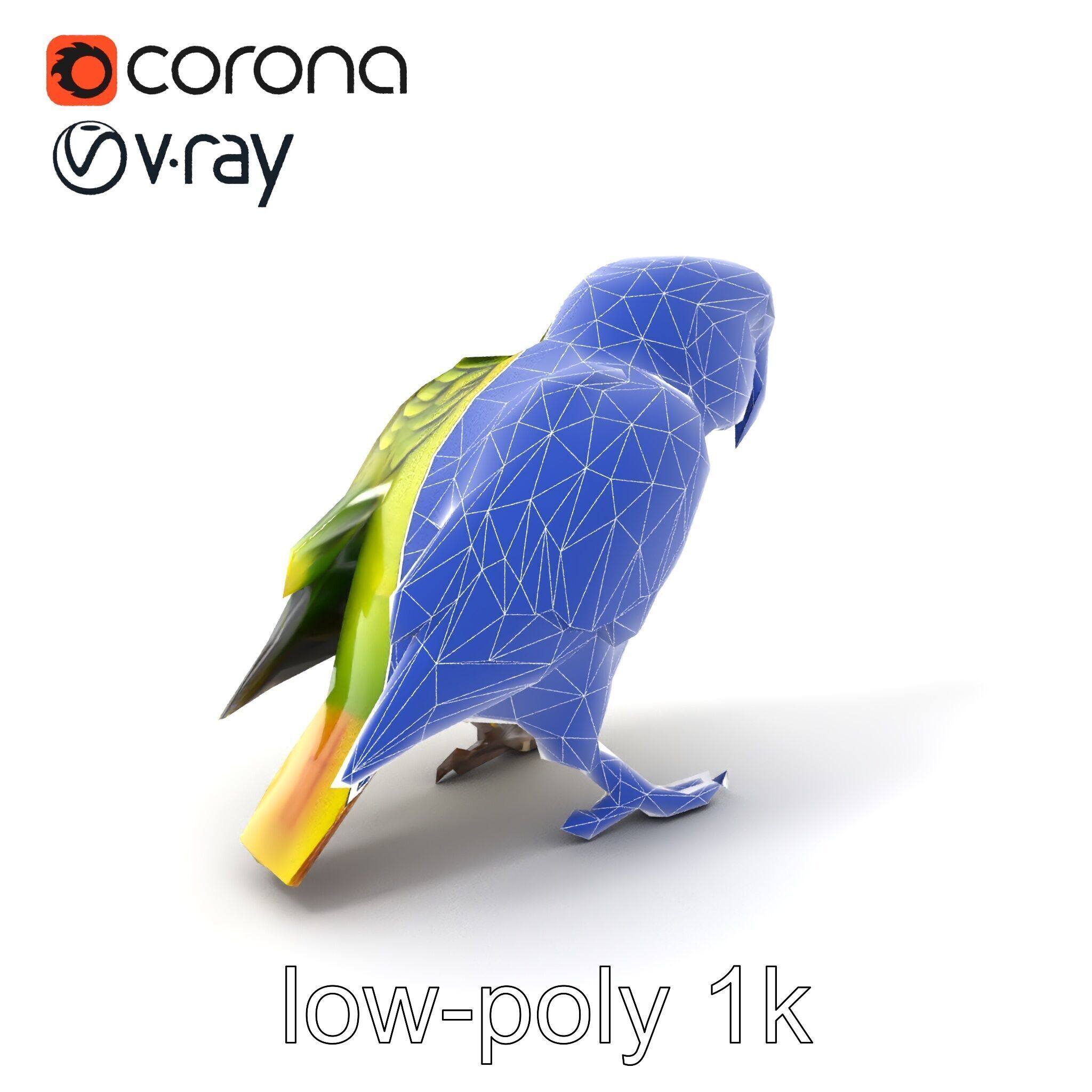 Amazon Parrot Realistic Bird 3D Model Pack Low-poly 3D model_6