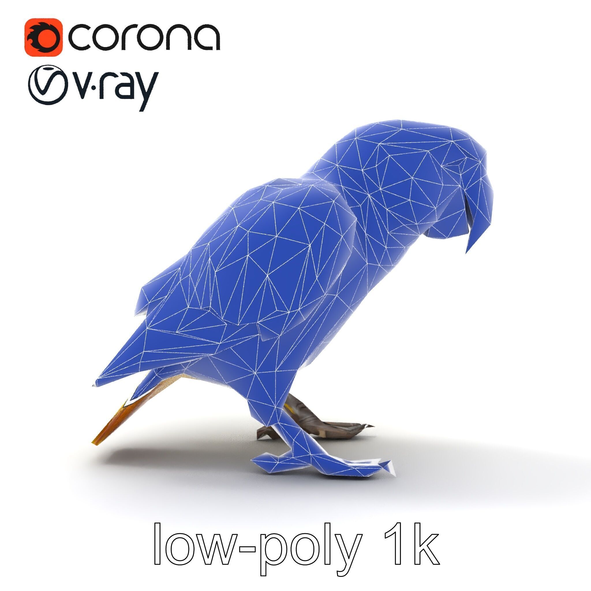 Amazon Parrot Realistic Bird 3D Model Pack Low-poly 3D model_21
