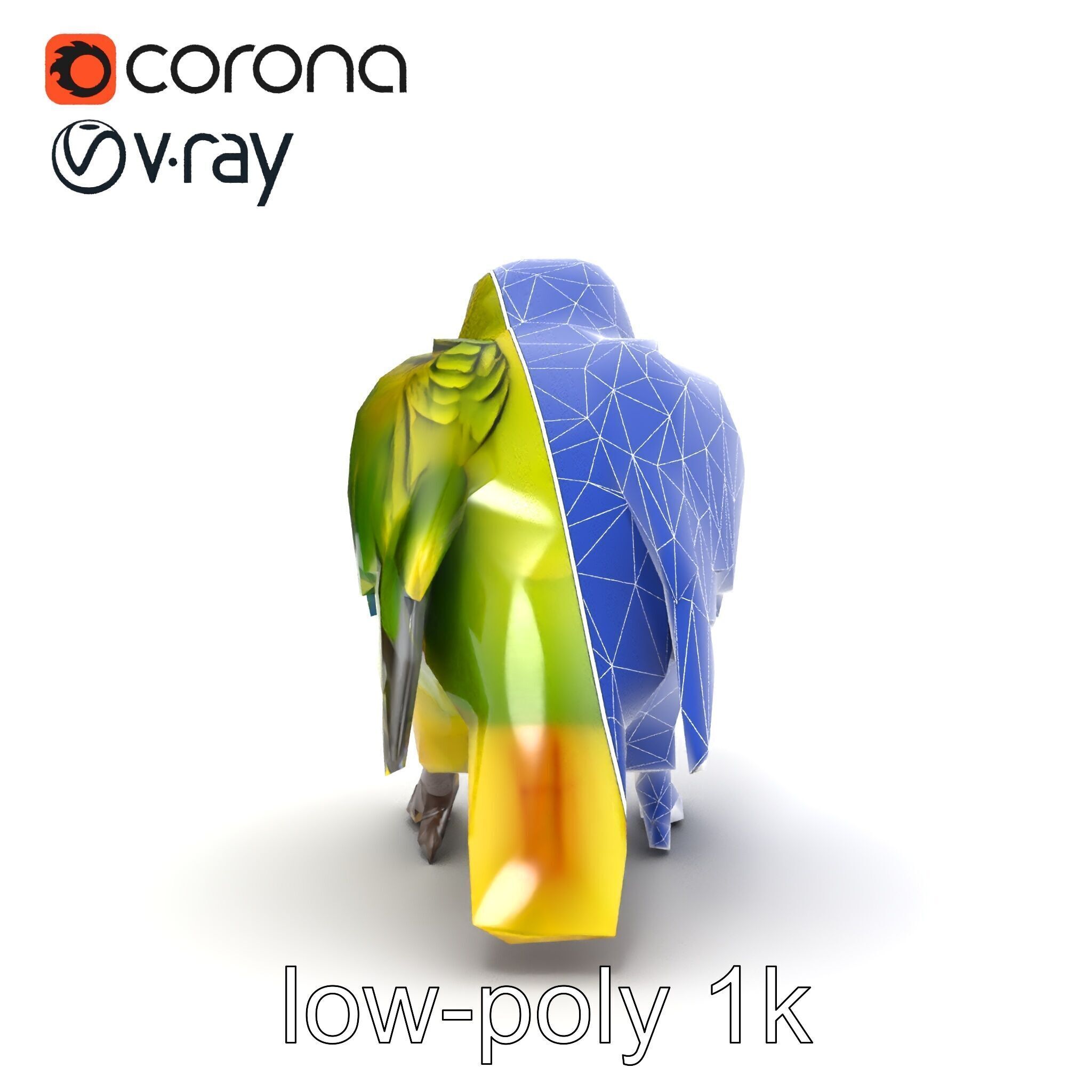 Amazon Parrot Realistic Bird 3D Model Pack Low-poly 3D model_11