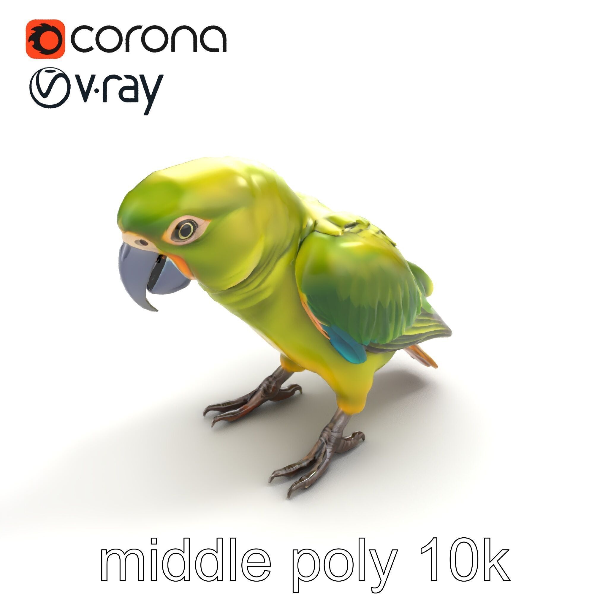 Amazon Parrot Realistic Bird 3D Model Pack Low-poly 3D model_7