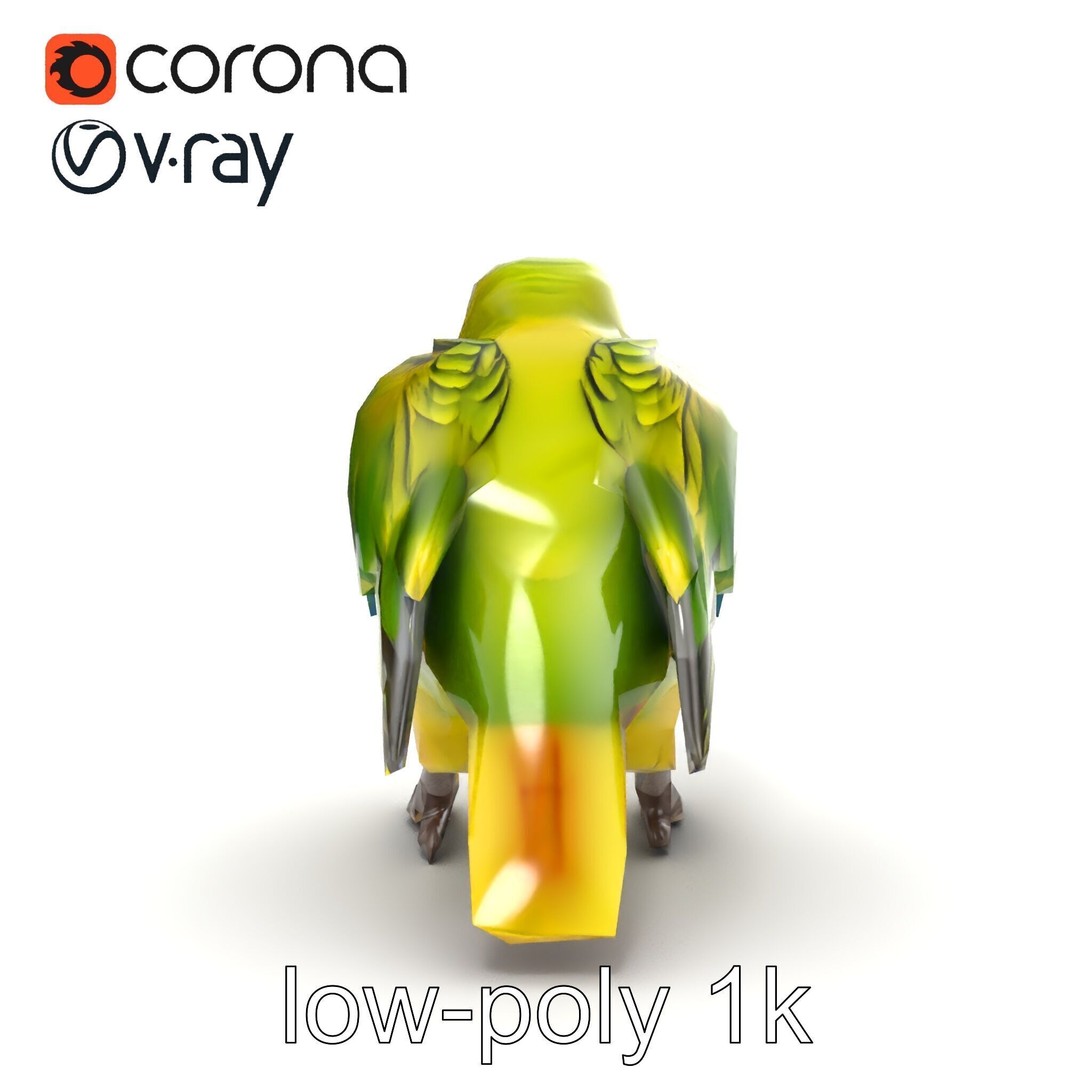 Amazon Parrot Realistic Bird 3D Model Pack Low-poly 3D model_13