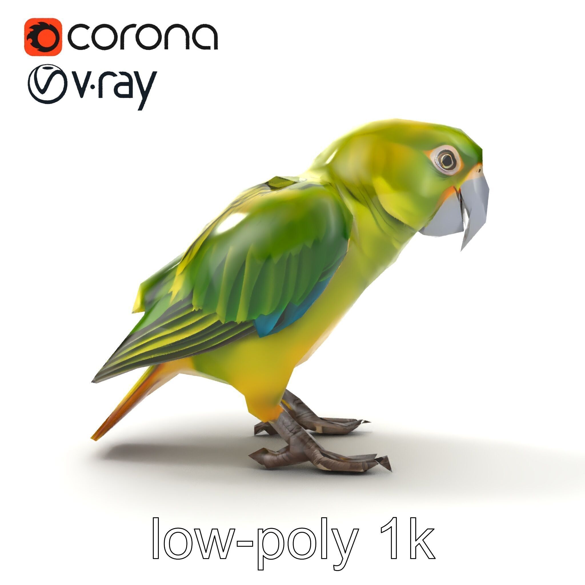 Amazon Parrot Realistic Bird 3D Model Pack Low-poly 3D model_20