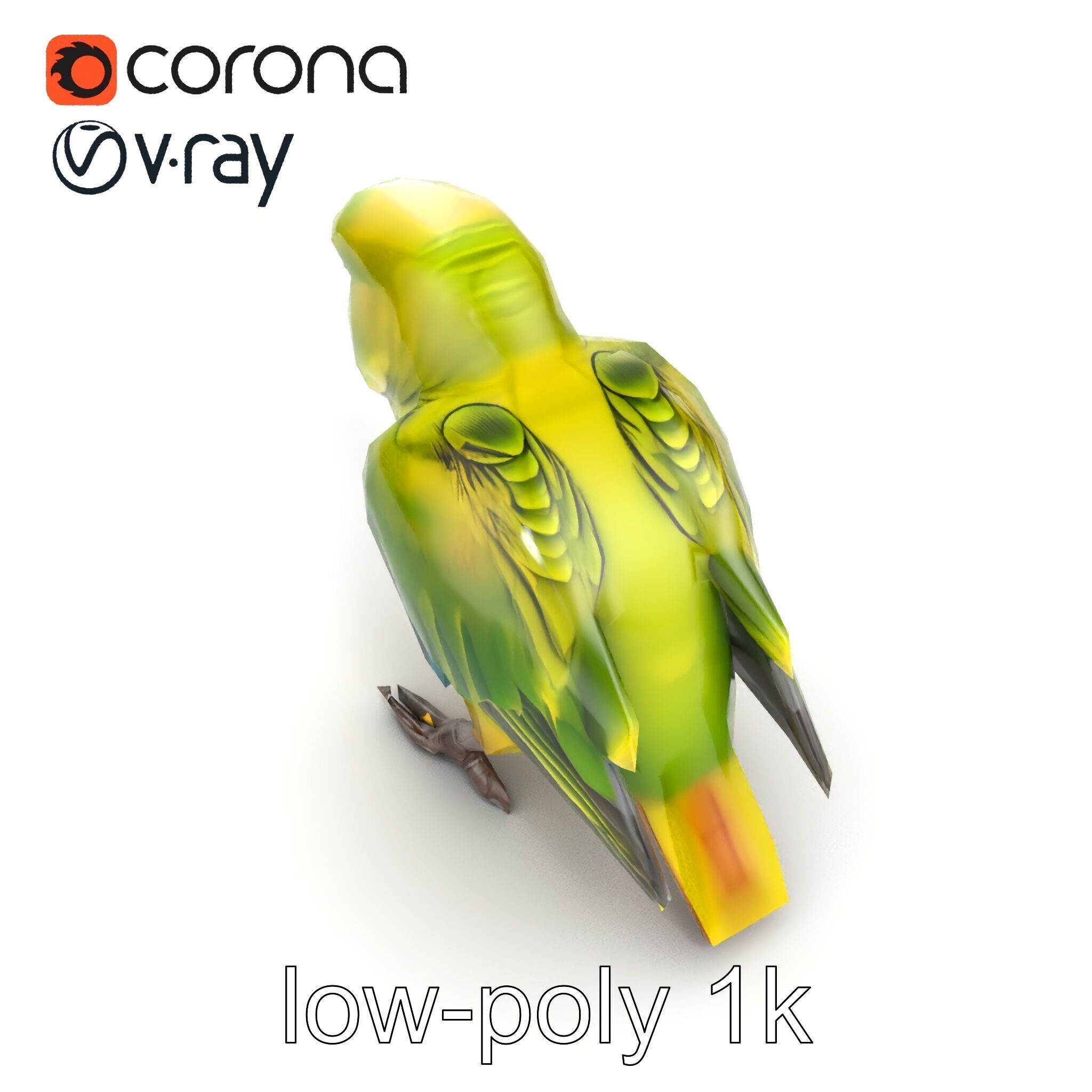 Amazon Parrot Realistic Bird 3D Model Pack Low-poly 3D model_14