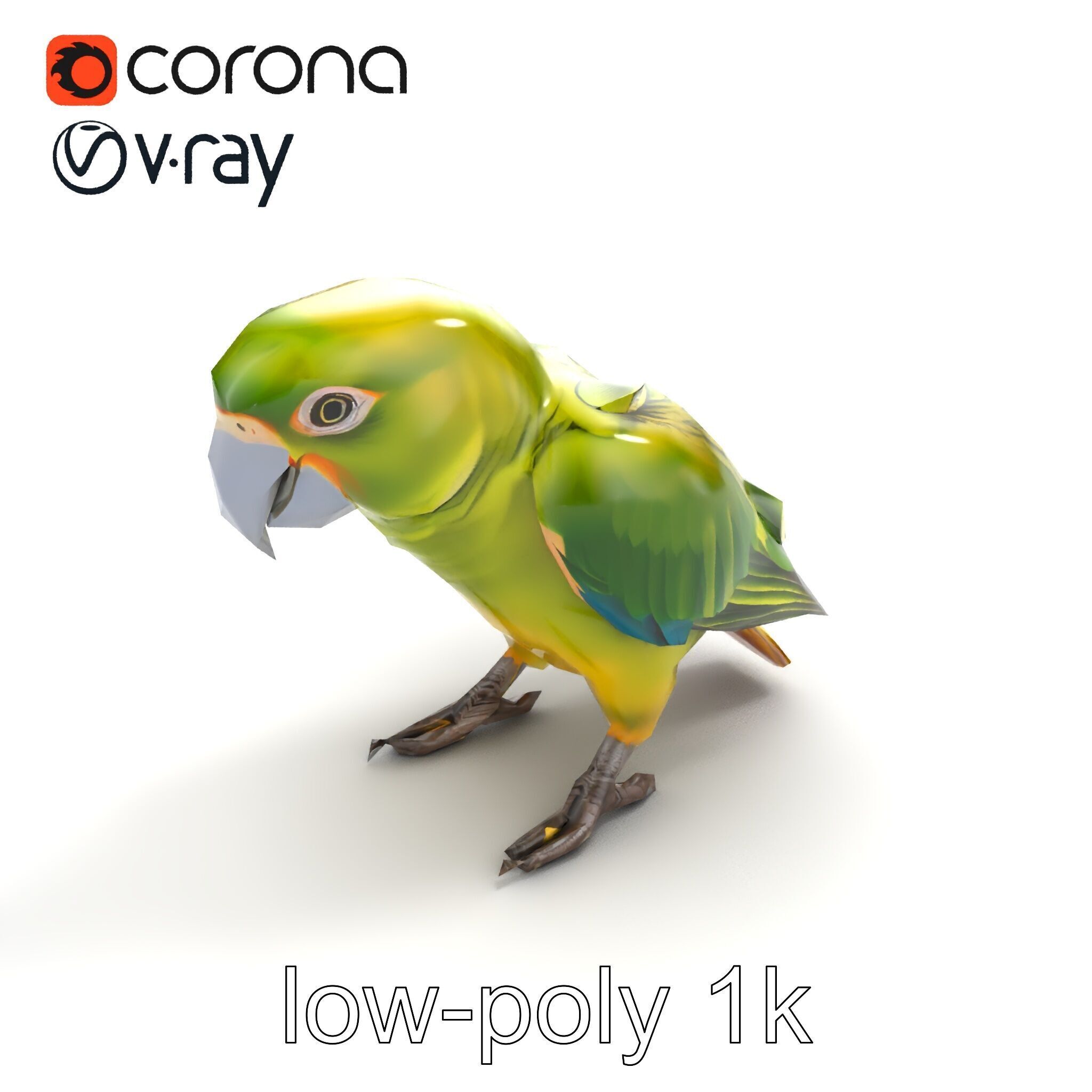 Amazon Parrot Realistic Bird 3D Model Pack Low-poly 3D model_8