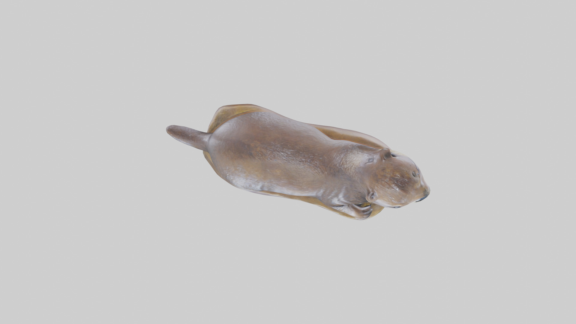 River Otter statue model Low-poly 3D model_14