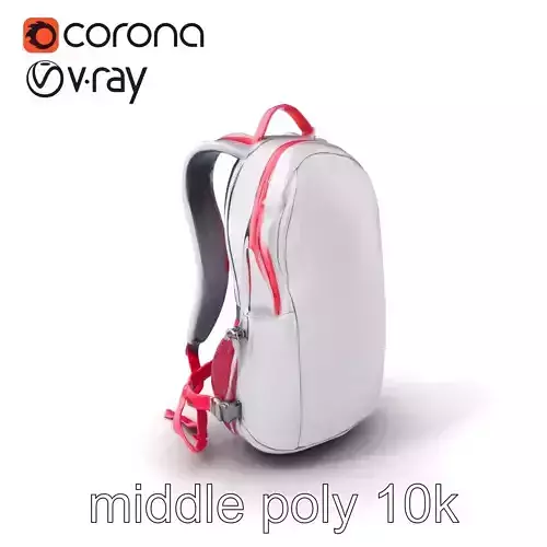 Athletic Backpack with Hydration Feature model pack Low-poly 3D model