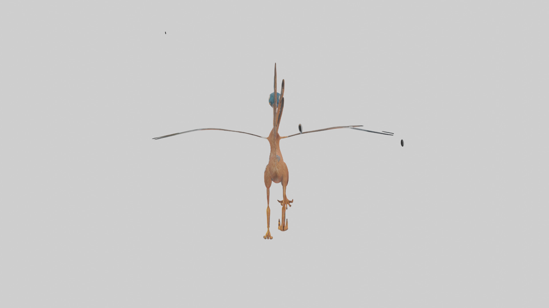 Roadrunner running model Low-poly 3D model_2