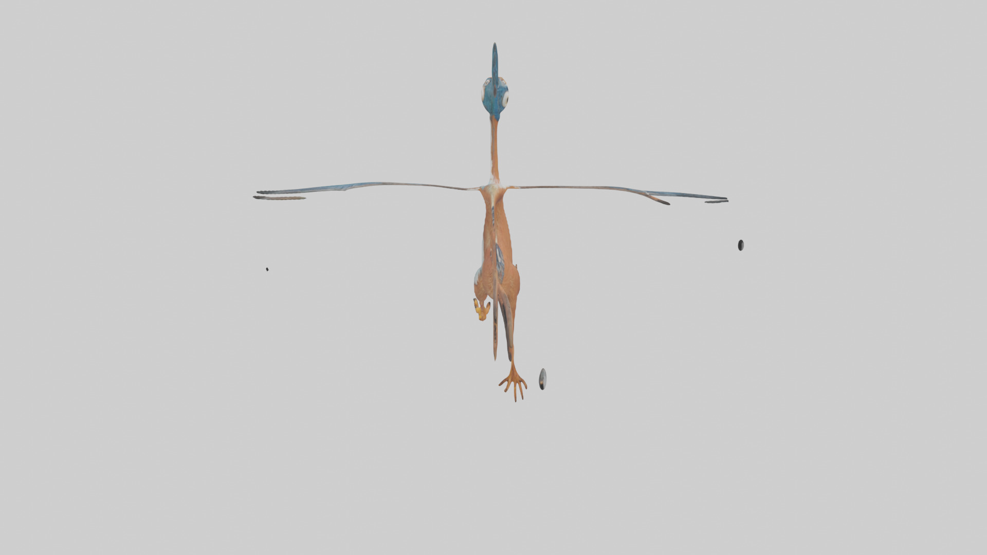 Roadrunner running model Low-poly 3D model_15