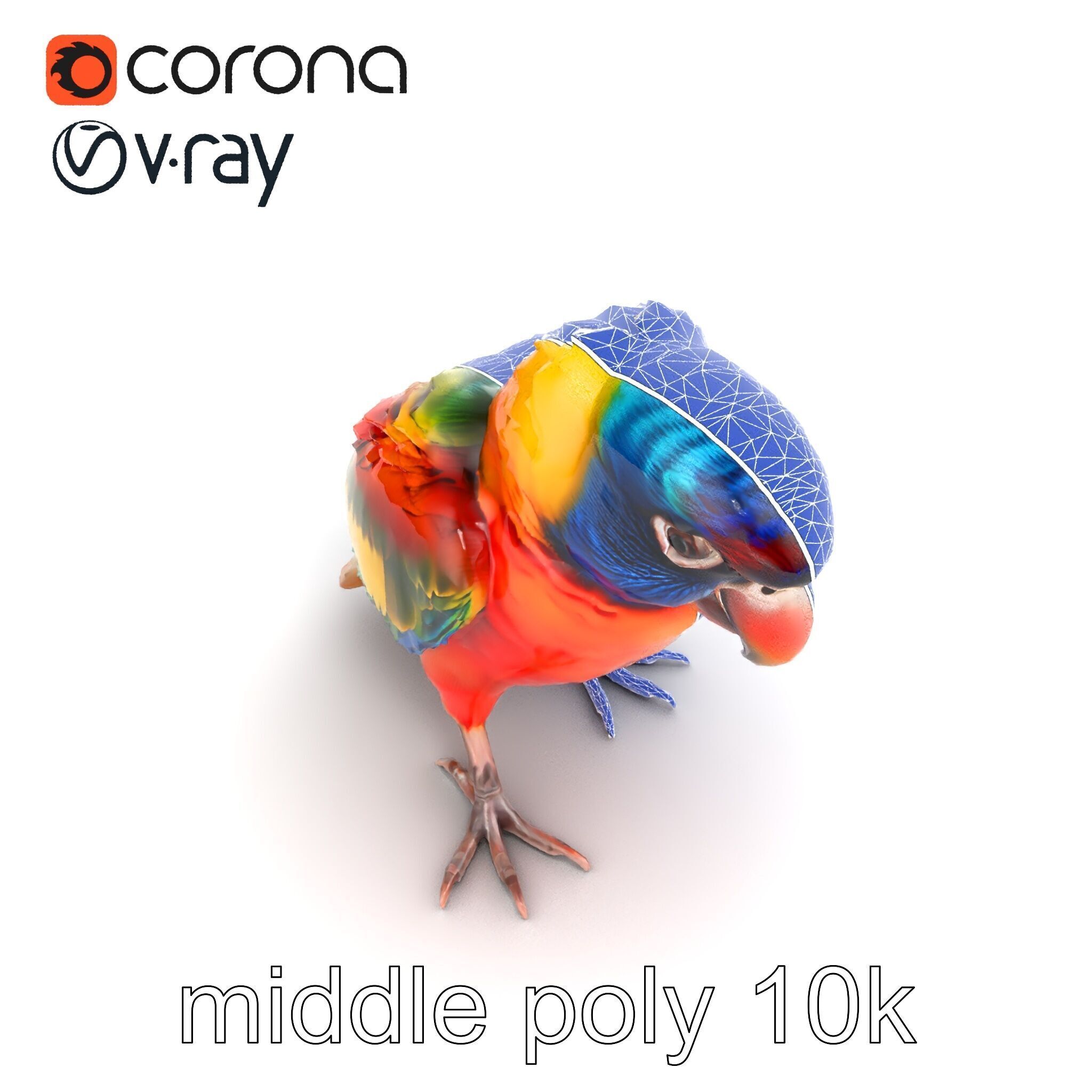 Vibrant Lory Parrot Sculptural model pack Low-poly 3D model_21