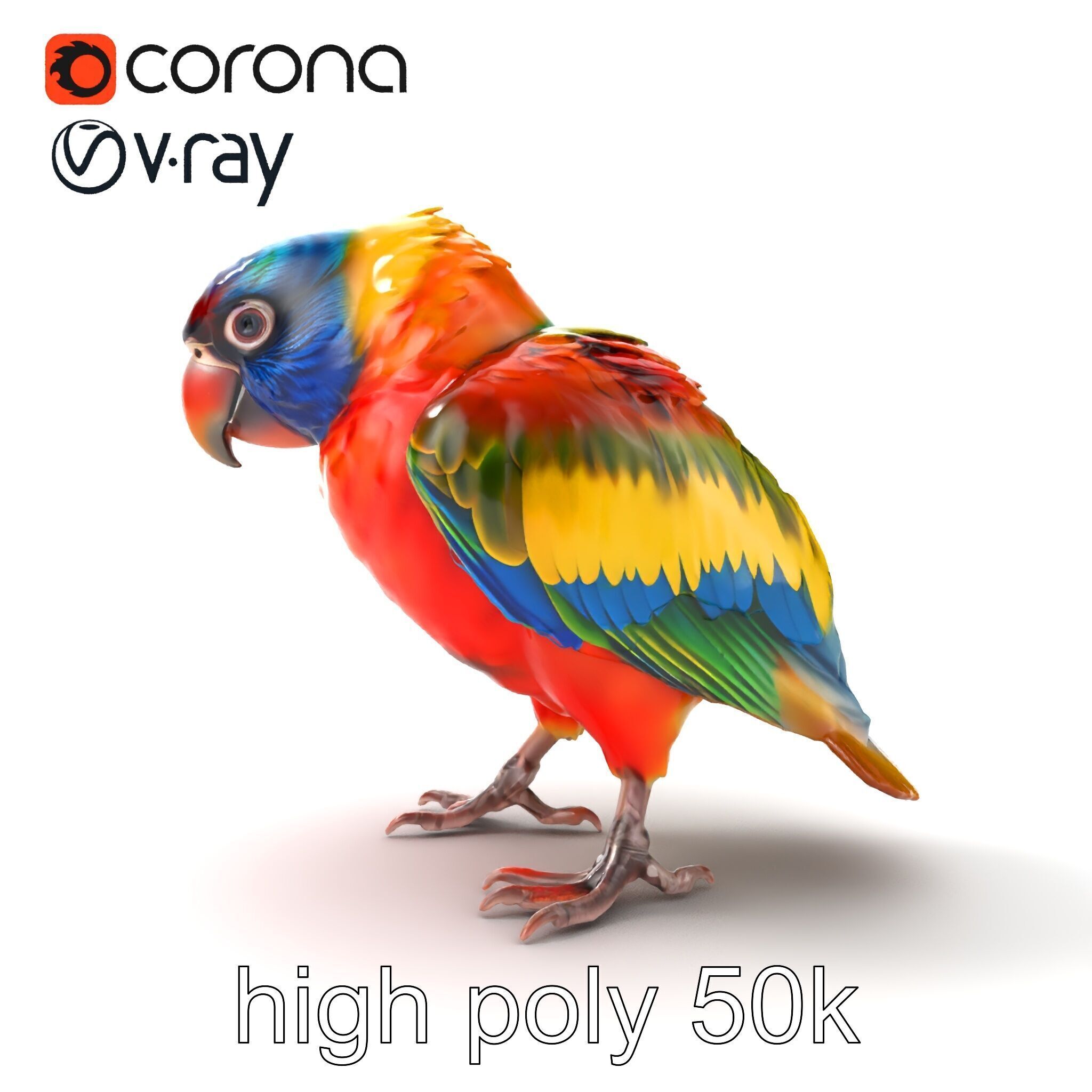 Vibrant Lory Parrot Sculptural model pack Low-poly 3D model_18