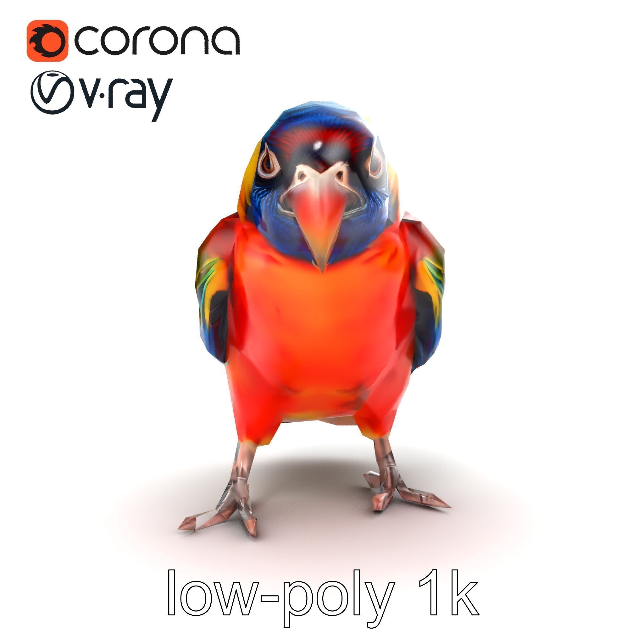 Vibrant Lory Parrot Sculptural model pack Low-poly 3D model_26