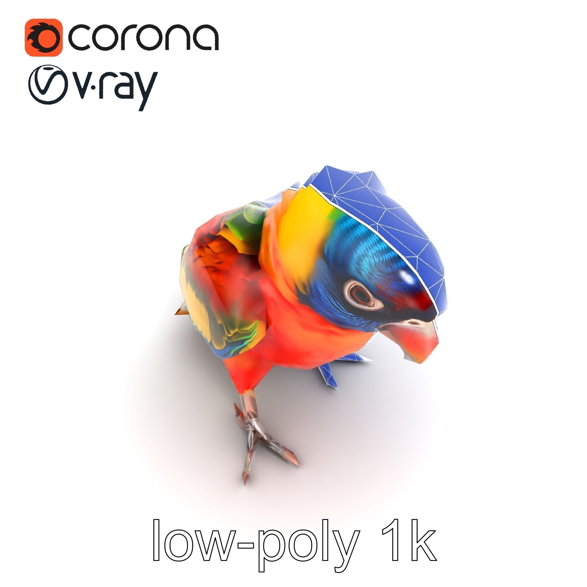 Vibrant Lory Parrot Sculptural model pack Low-poly 3D model_23