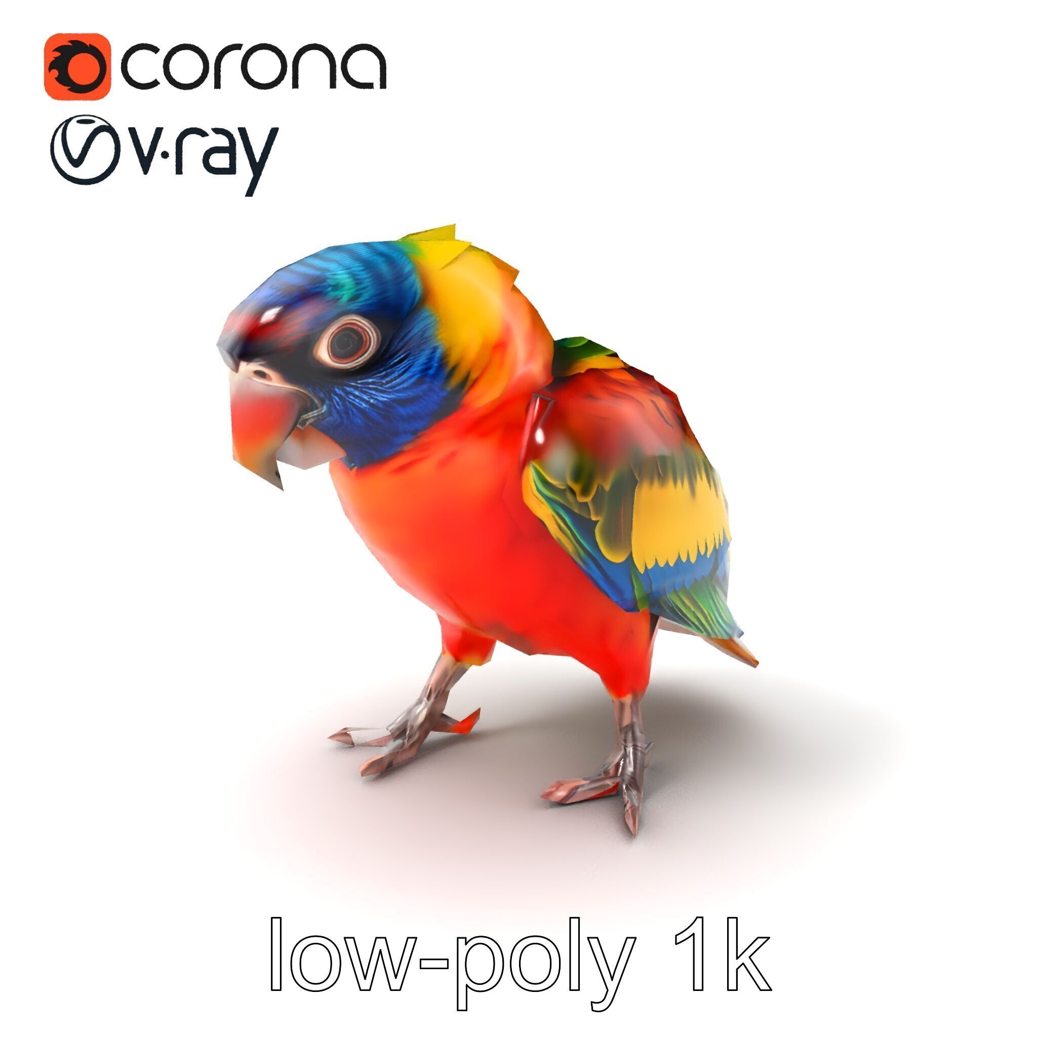 Vibrant Lory Parrot Sculptural model pack Low-poly 3D model_4
