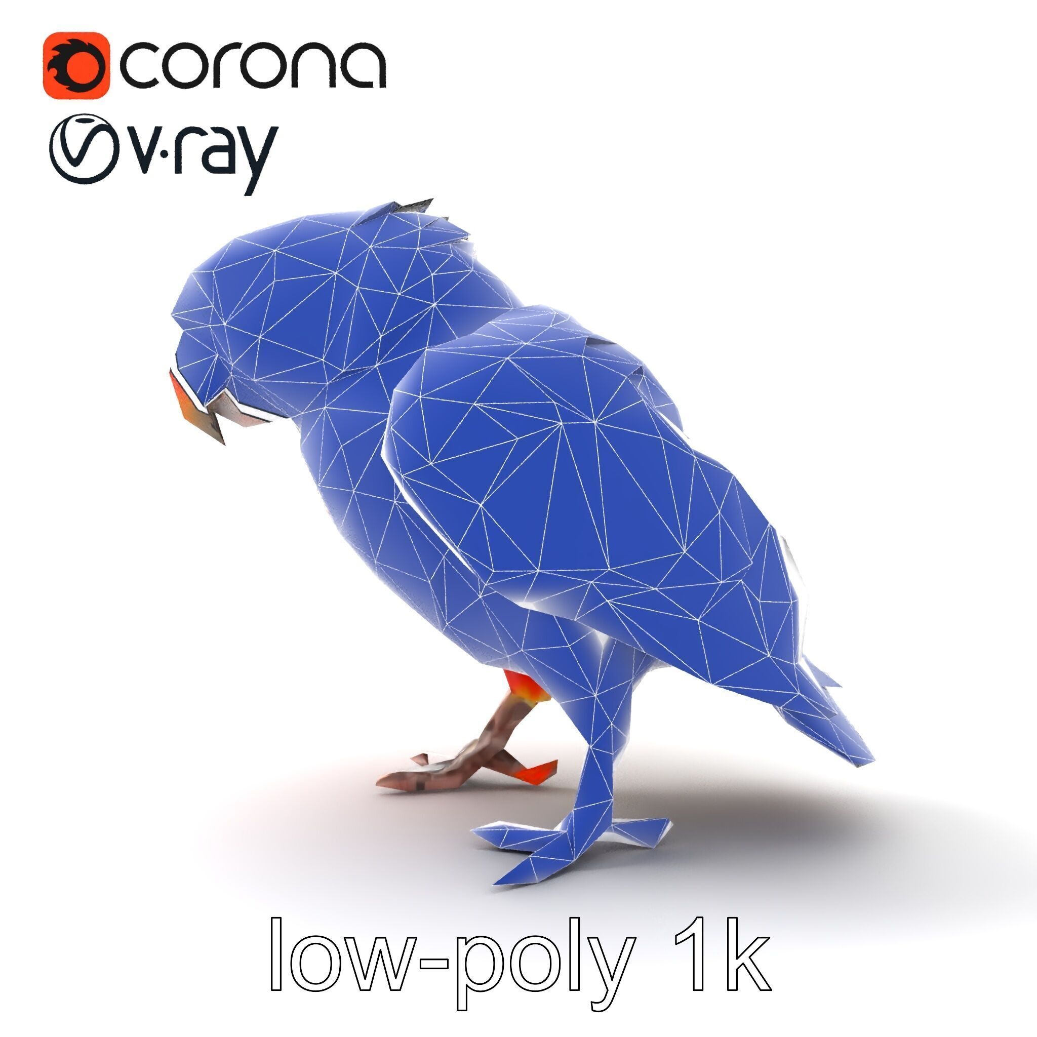 Vibrant Lory Parrot Sculptural model pack Low-poly 3D model_22