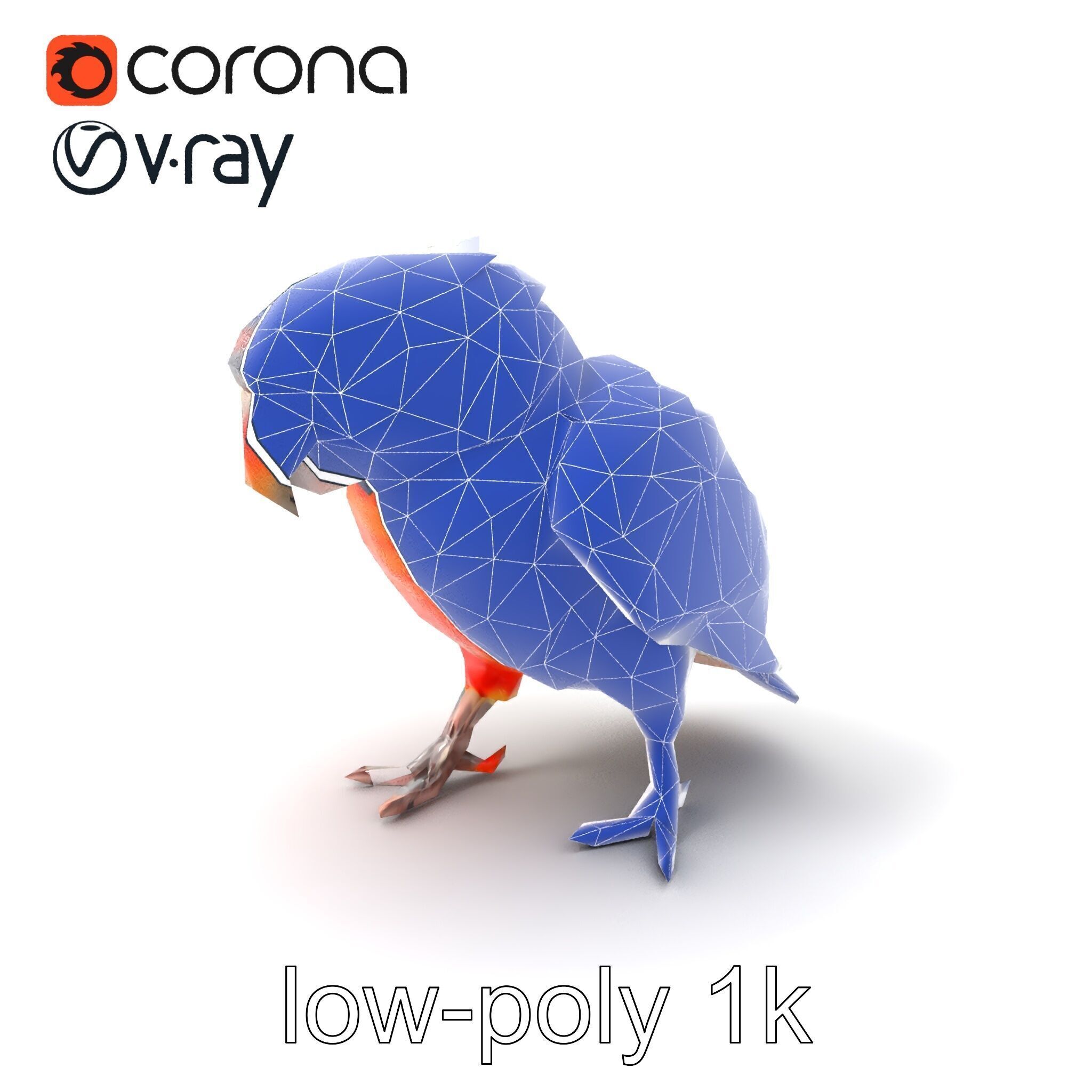 Vibrant Lory Parrot Sculptural model pack Low-poly 3D model_6