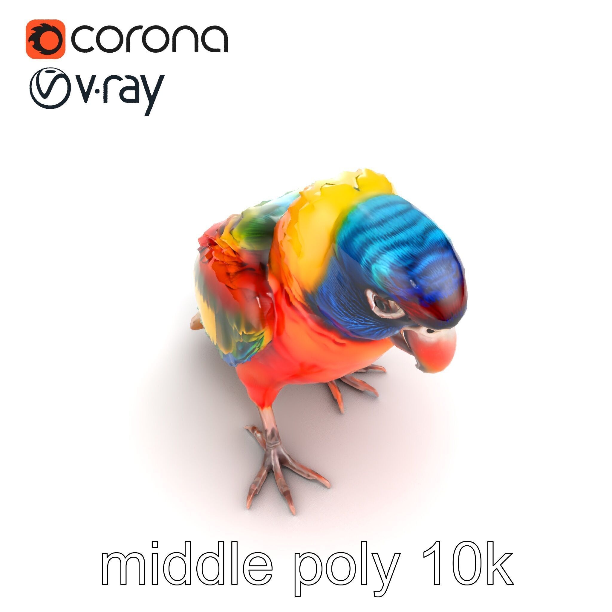 Vibrant Lory Parrot Sculptural model pack Low-poly 3D model_27