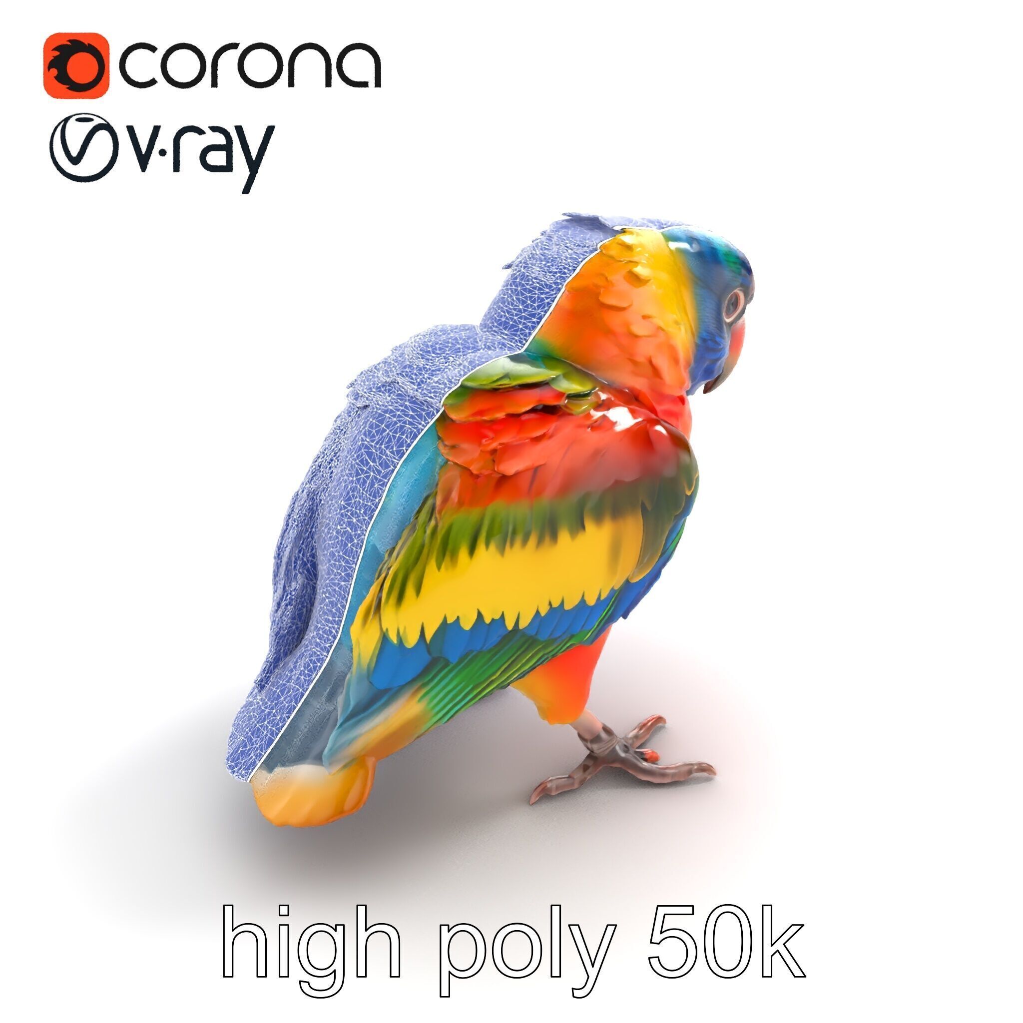 Vibrant Lory Parrot Sculptural model pack Low-poly 3D model_28