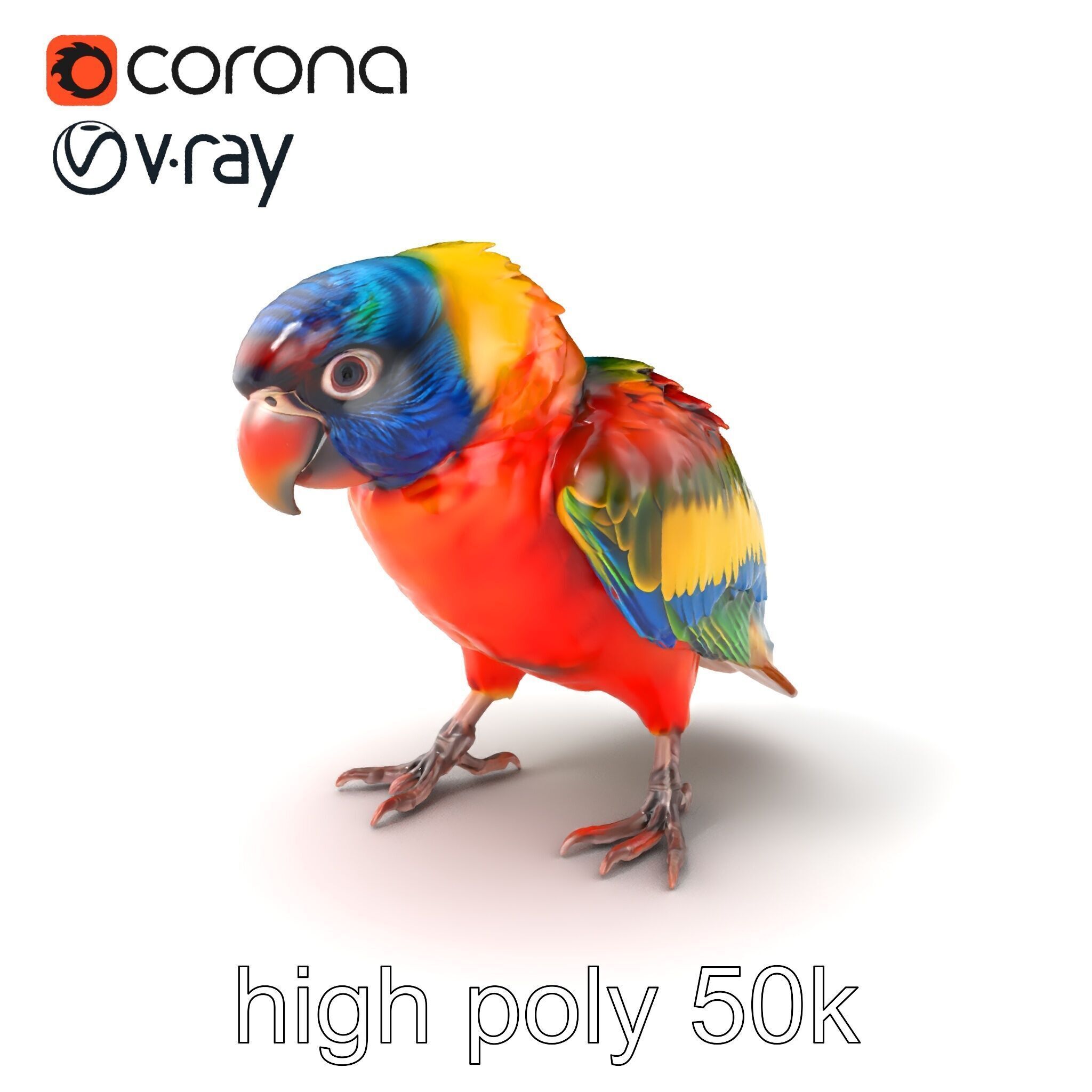 Vibrant Lory Parrot Sculptural model pack Low-poly 3D model_2