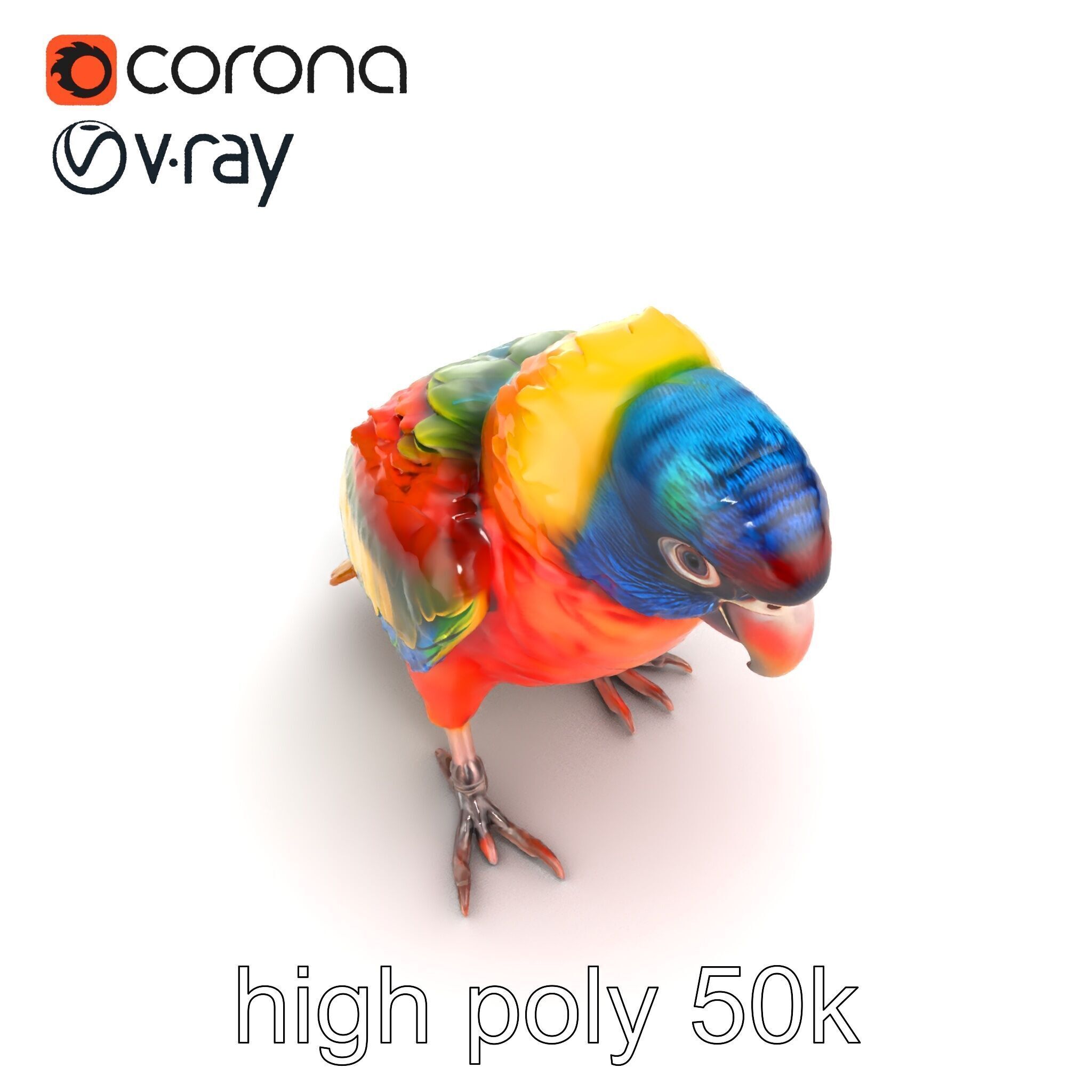 Vibrant Lory Parrot Sculptural model pack Low-poly 3D model_24