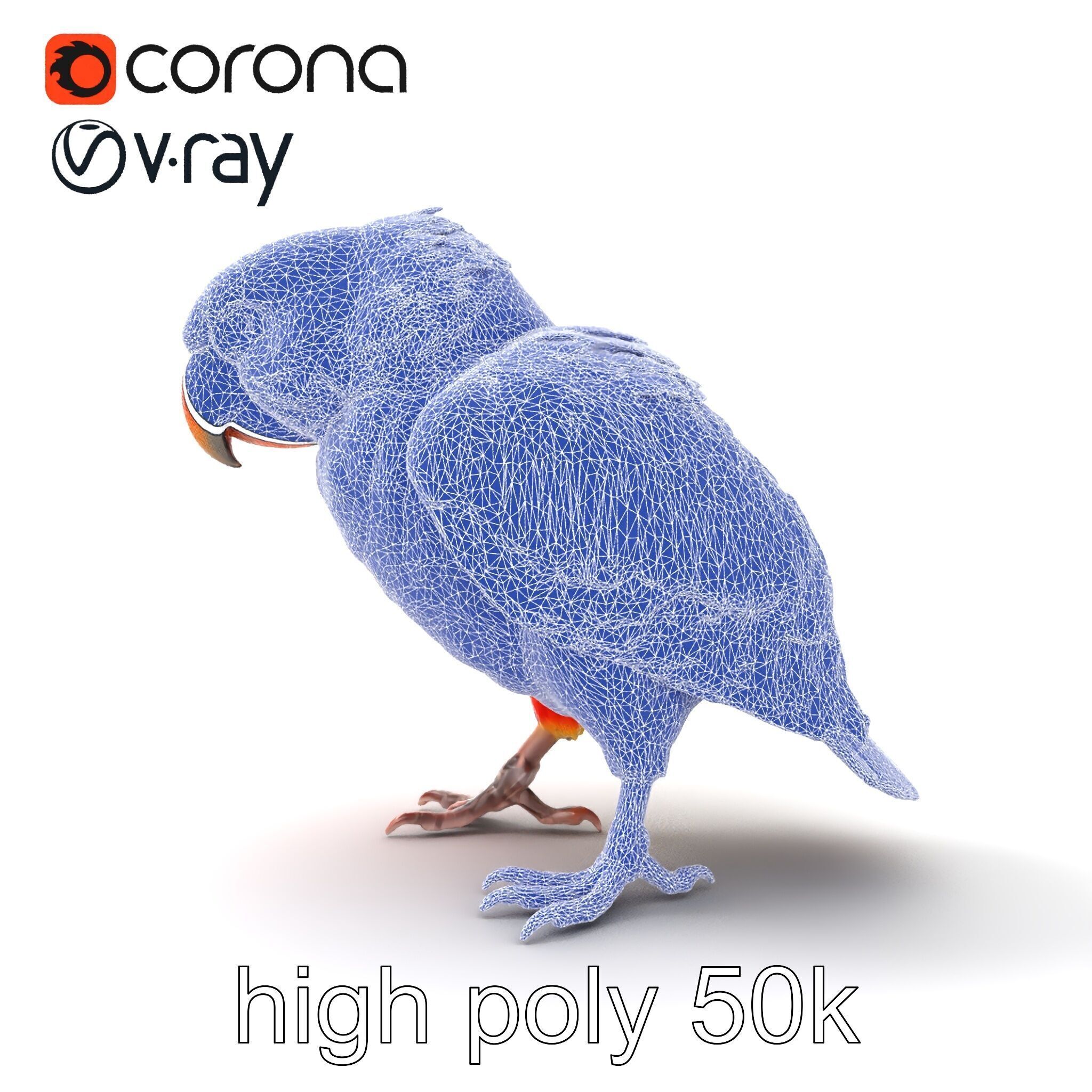 Vibrant Lory Parrot Sculptural model pack Low-poly 3D model_30
