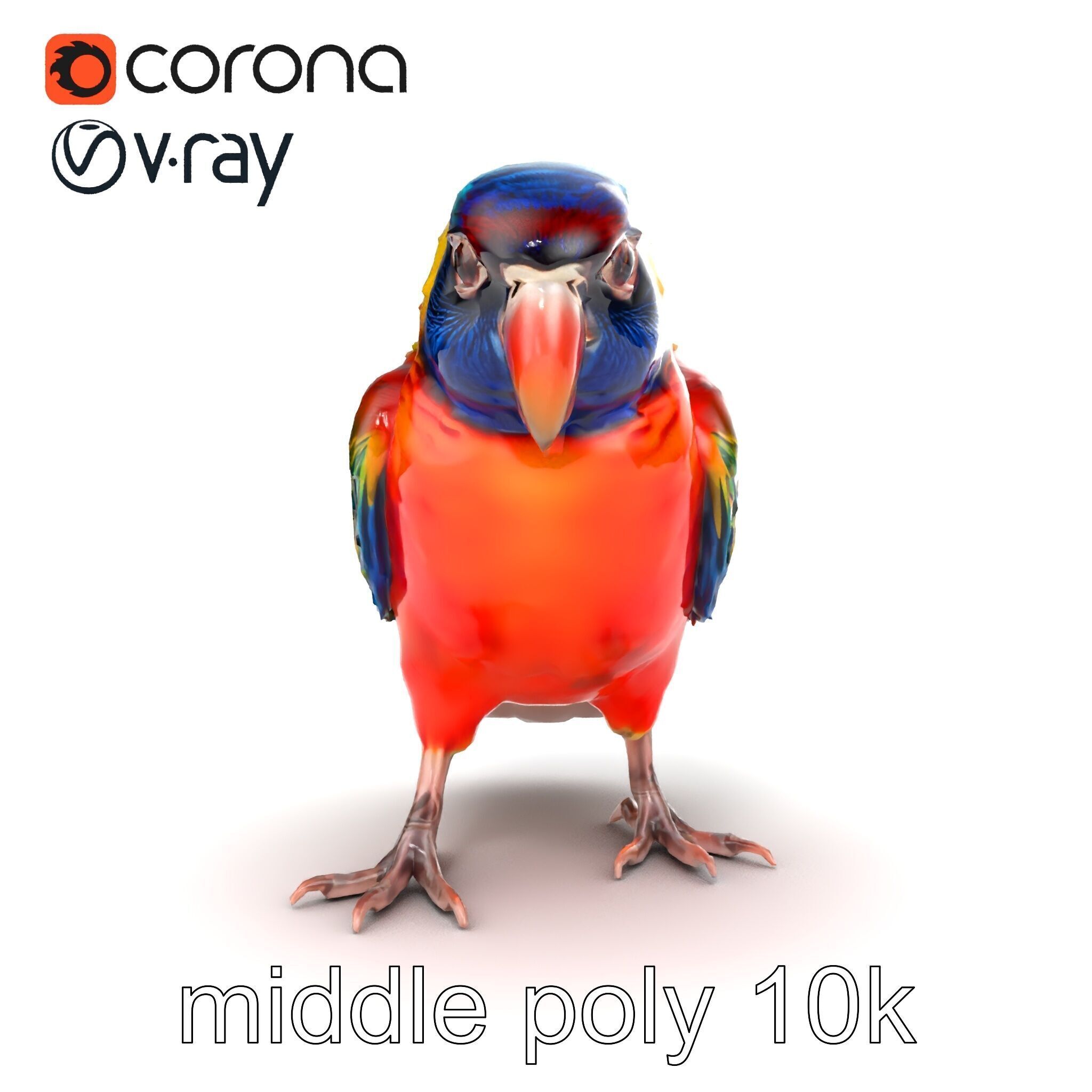 Vibrant Lory Parrot Sculptural model pack Low-poly 3D model_13