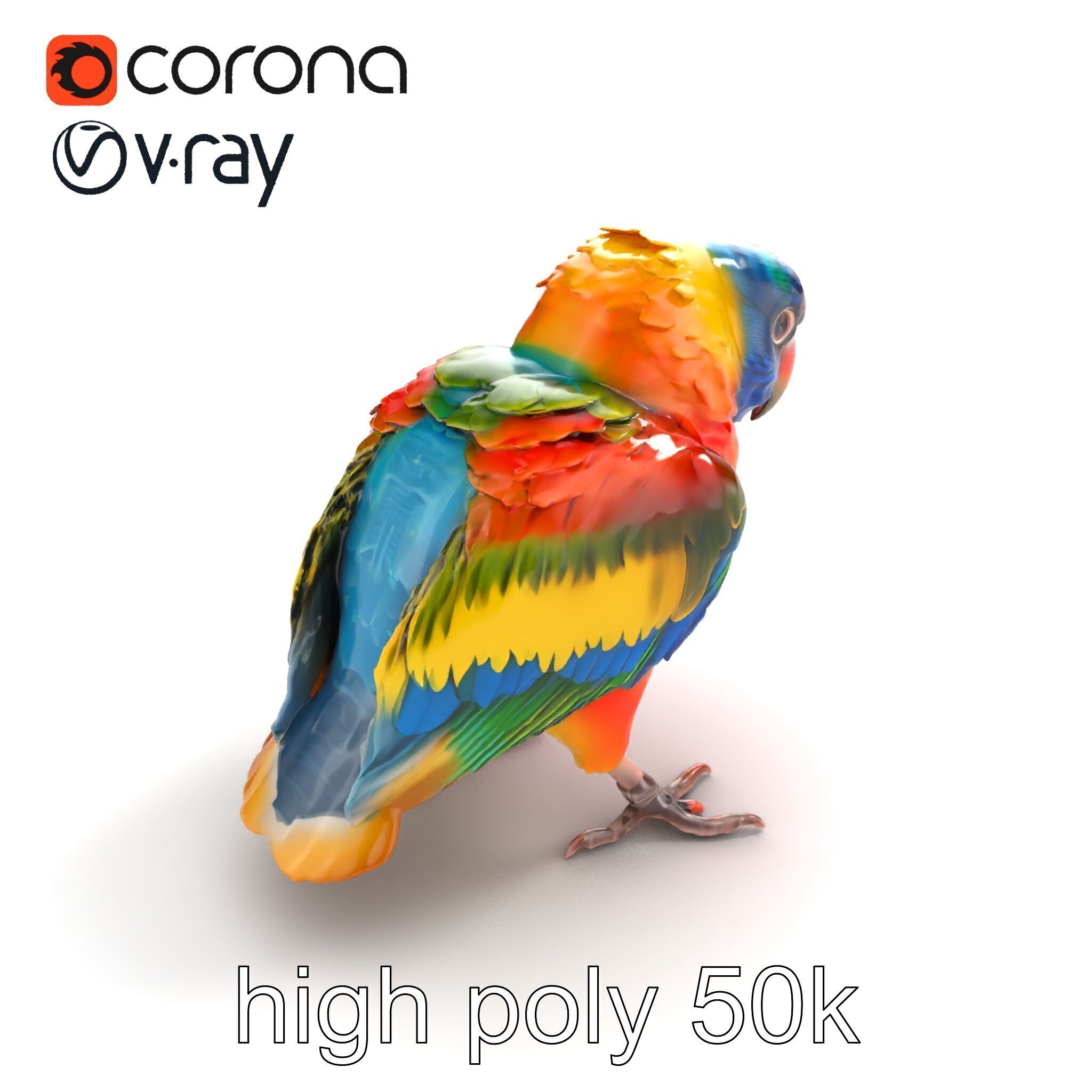 Vibrant Lory Parrot Sculptural model pack Low-poly 3D model_9