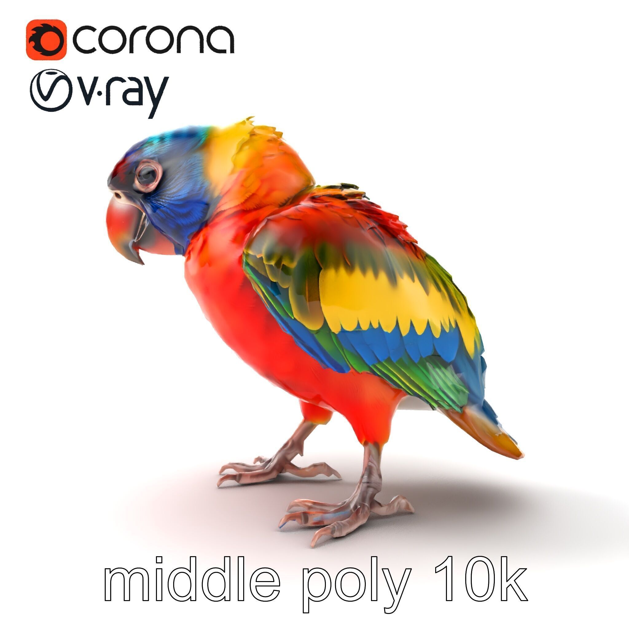 Vibrant Lory Parrot Sculptural model pack Low-poly 3D model_19