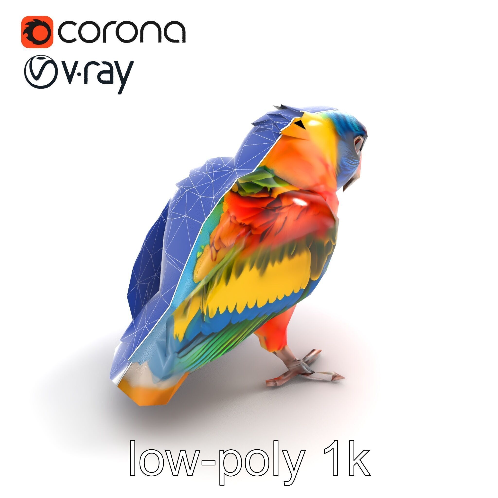 Vibrant Lory Parrot Sculptural model pack Low-poly 3D model_16