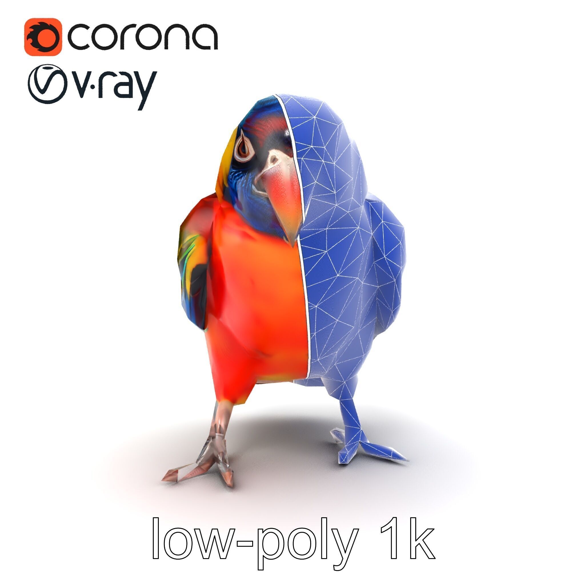 Vibrant Lory Parrot Sculptural model pack Low-poly 3D model_25