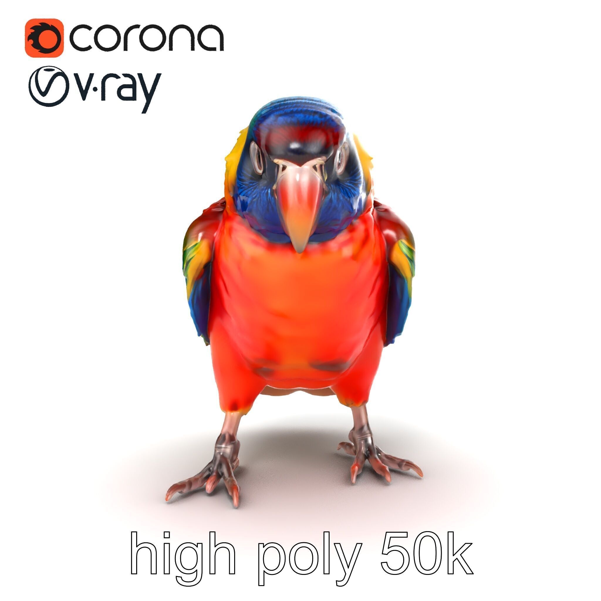 Vibrant Lory Parrot Sculptural model pack Low-poly 3D model_12