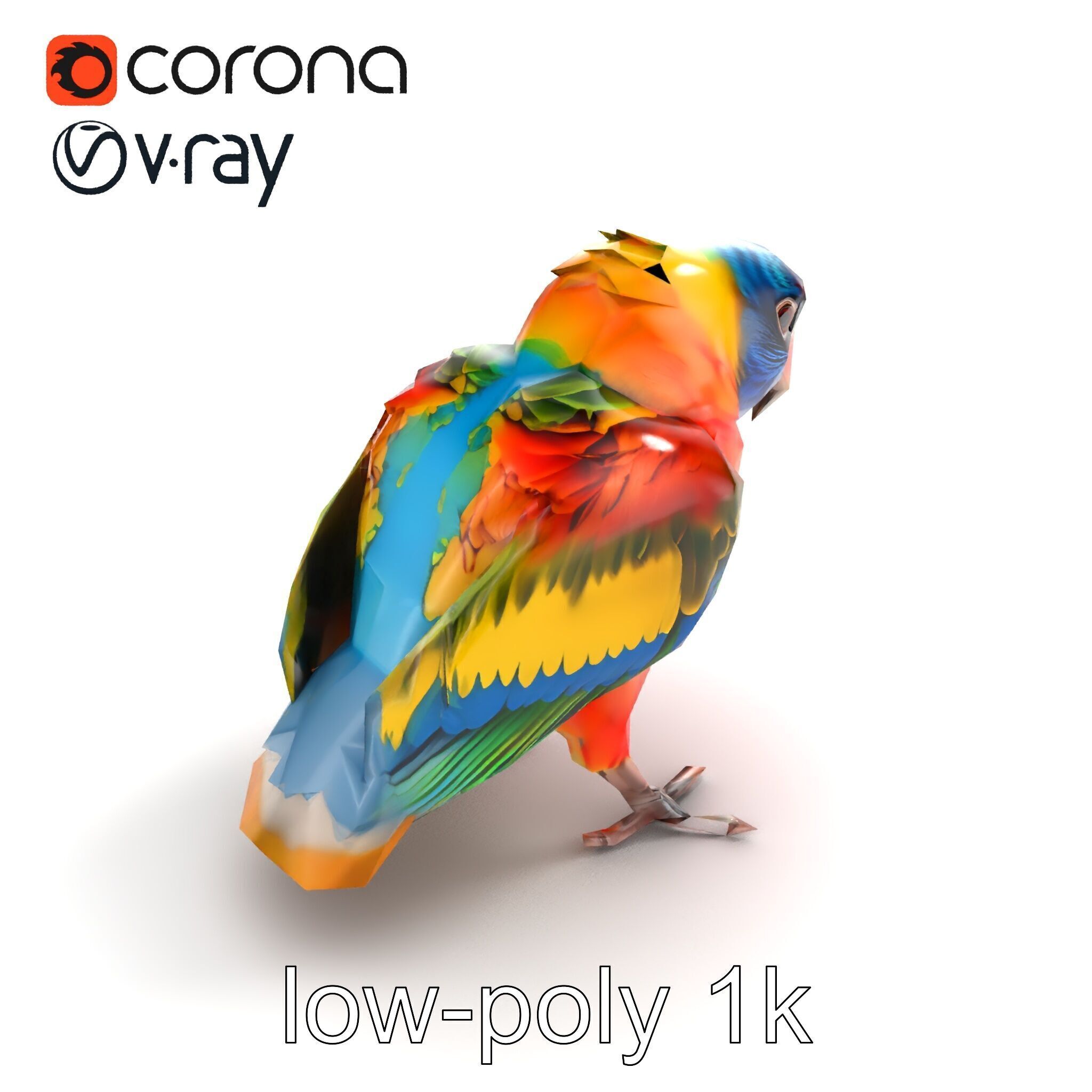 Vibrant Lory Parrot Sculptural model pack Low-poly 3D model_8