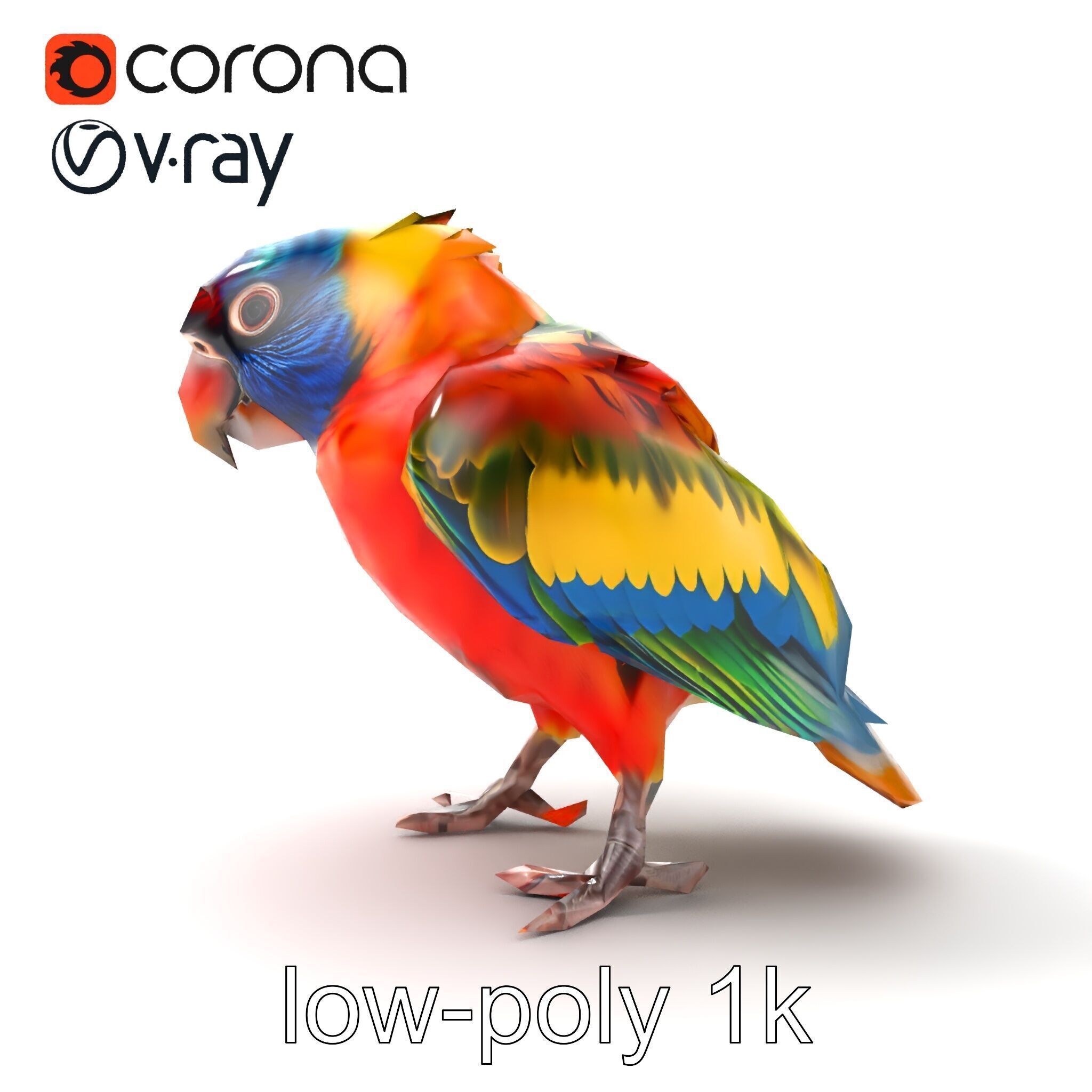 Vibrant Lory Parrot Sculptural model pack Low-poly 3D model_15