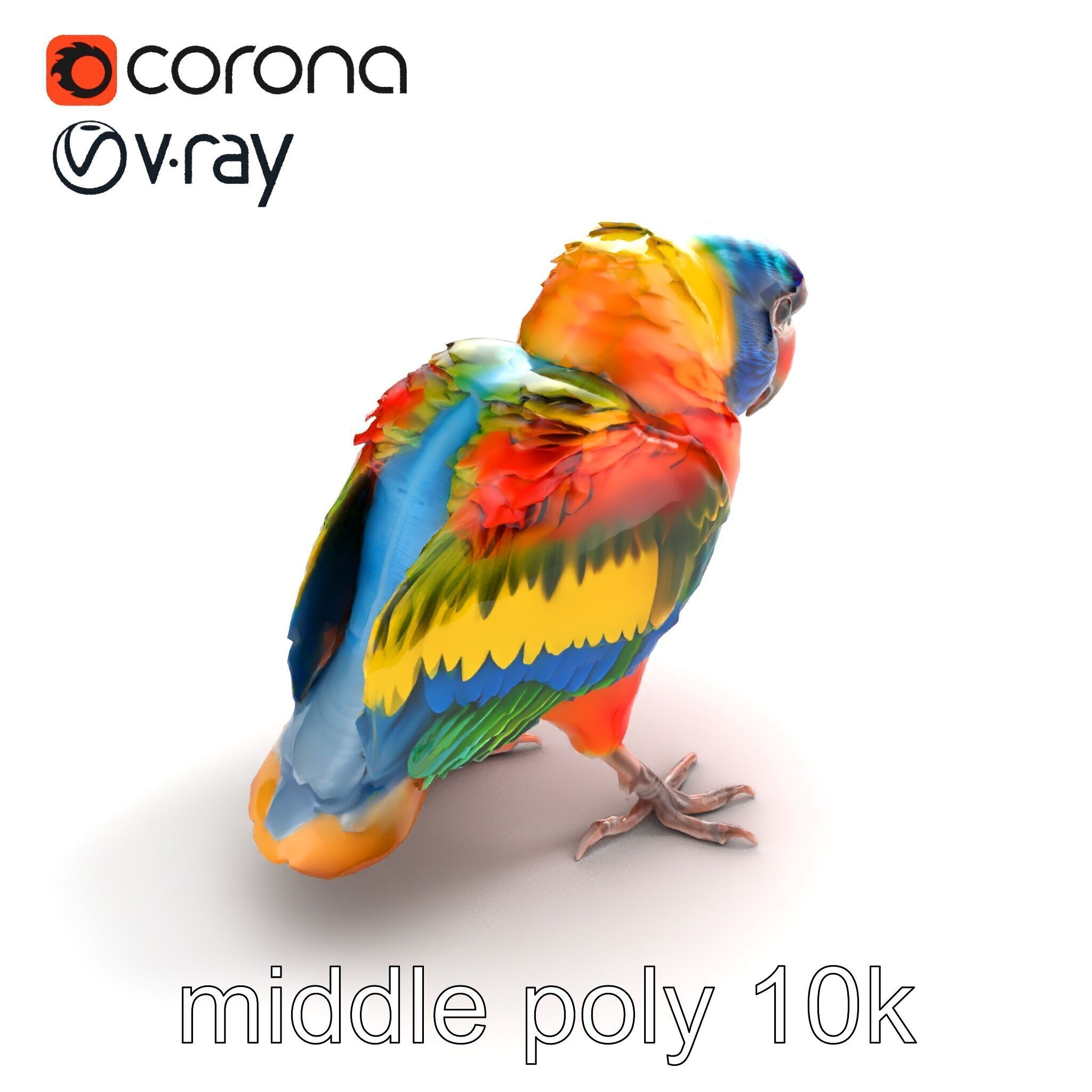 Vibrant Lory Parrot Sculptural model pack Low-poly 3D model_7