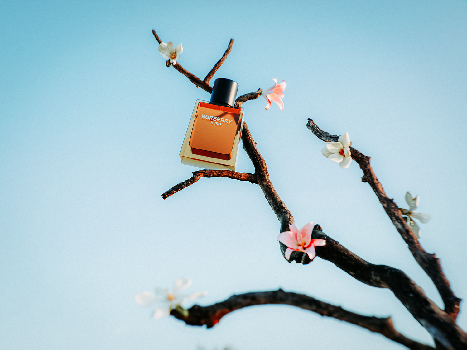 Branch of Flowers rr 3D model_1