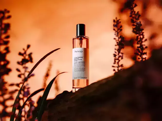 Branch of Flowers rr