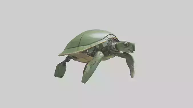 Robot version of a sea turtle model