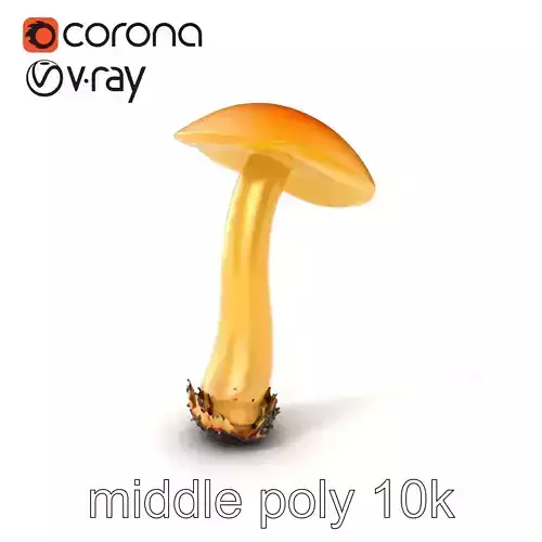 Chanterelle Mushroom Young Bright Yellow model pack Low-poly 3D model