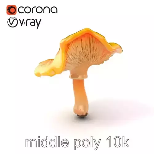 Vibrant Chanterelle Mushroom Classic Model Pack Low-poly 3D model
