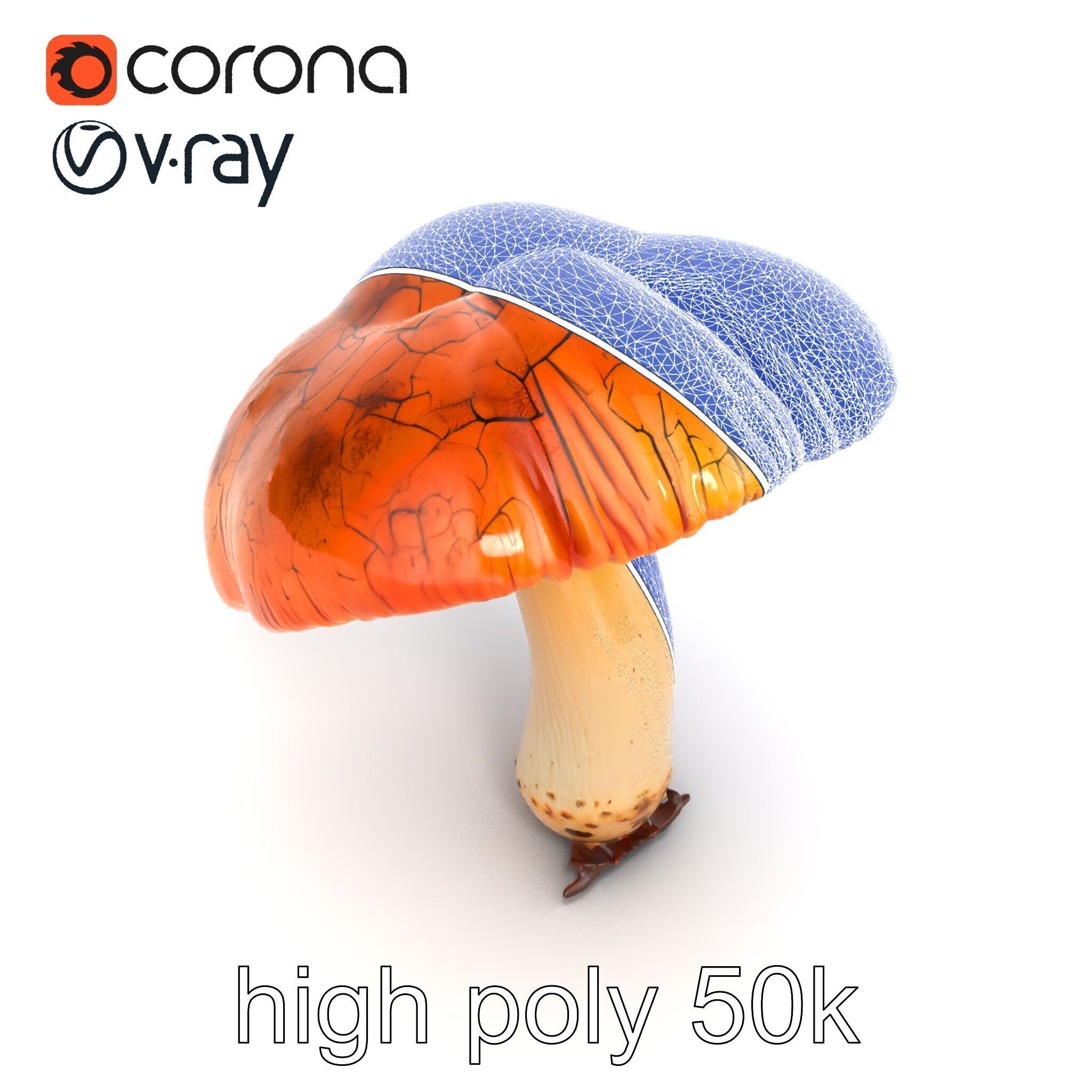 Chanterelle Mushroom Crack Texture Model Pack Low-poly 3D model_25