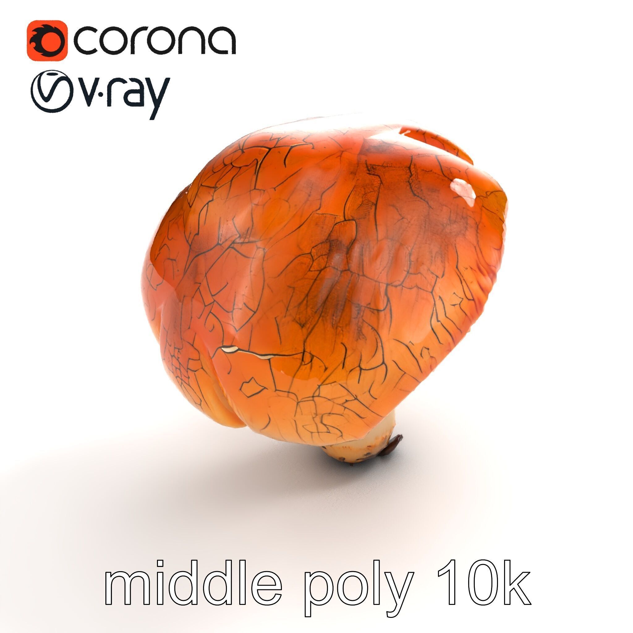Chanterelle Mushroom Crack Texture Model Pack Low-poly 3D model_8