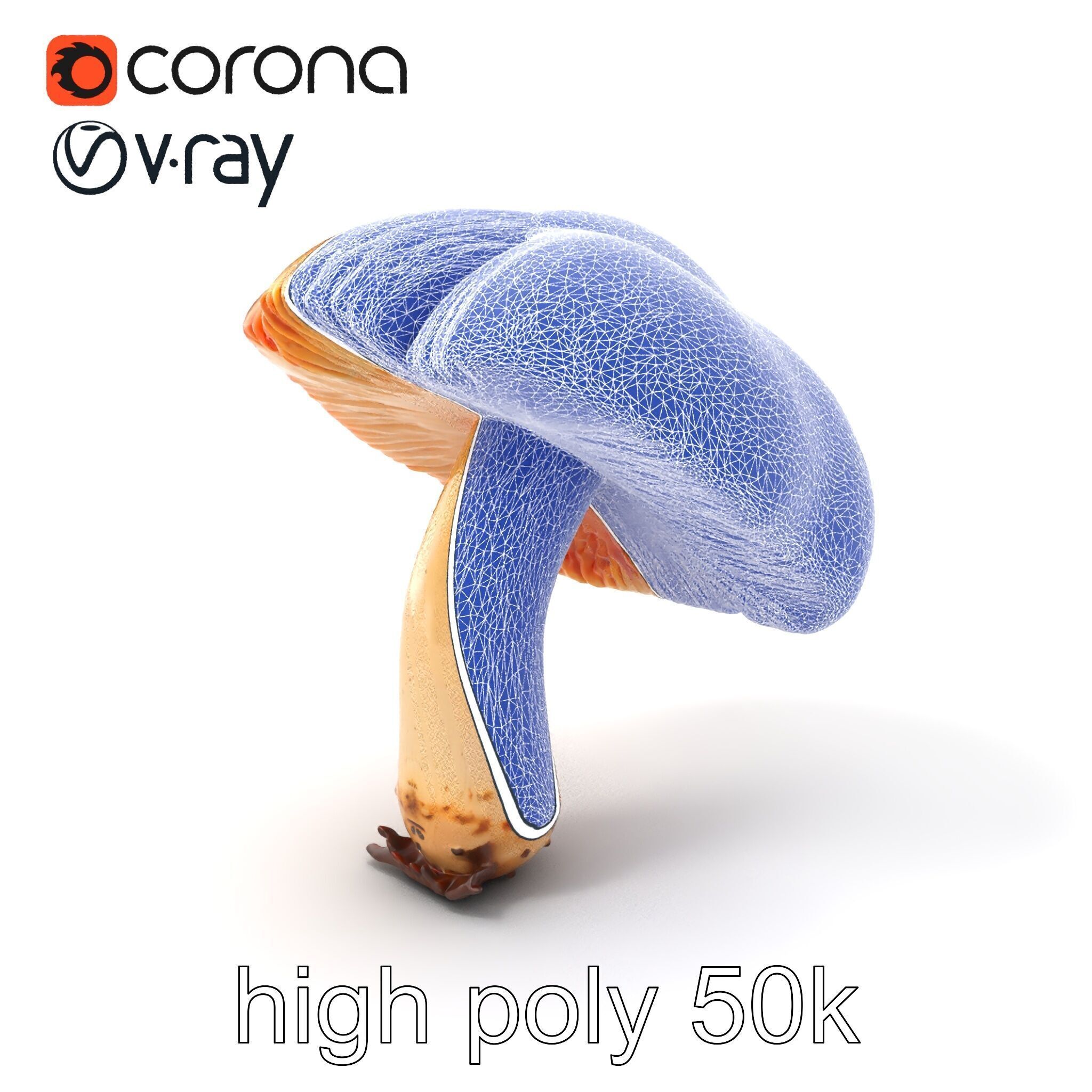 Chanterelle Mushroom Crack Texture Model Pack Low-poly 3D model_10
