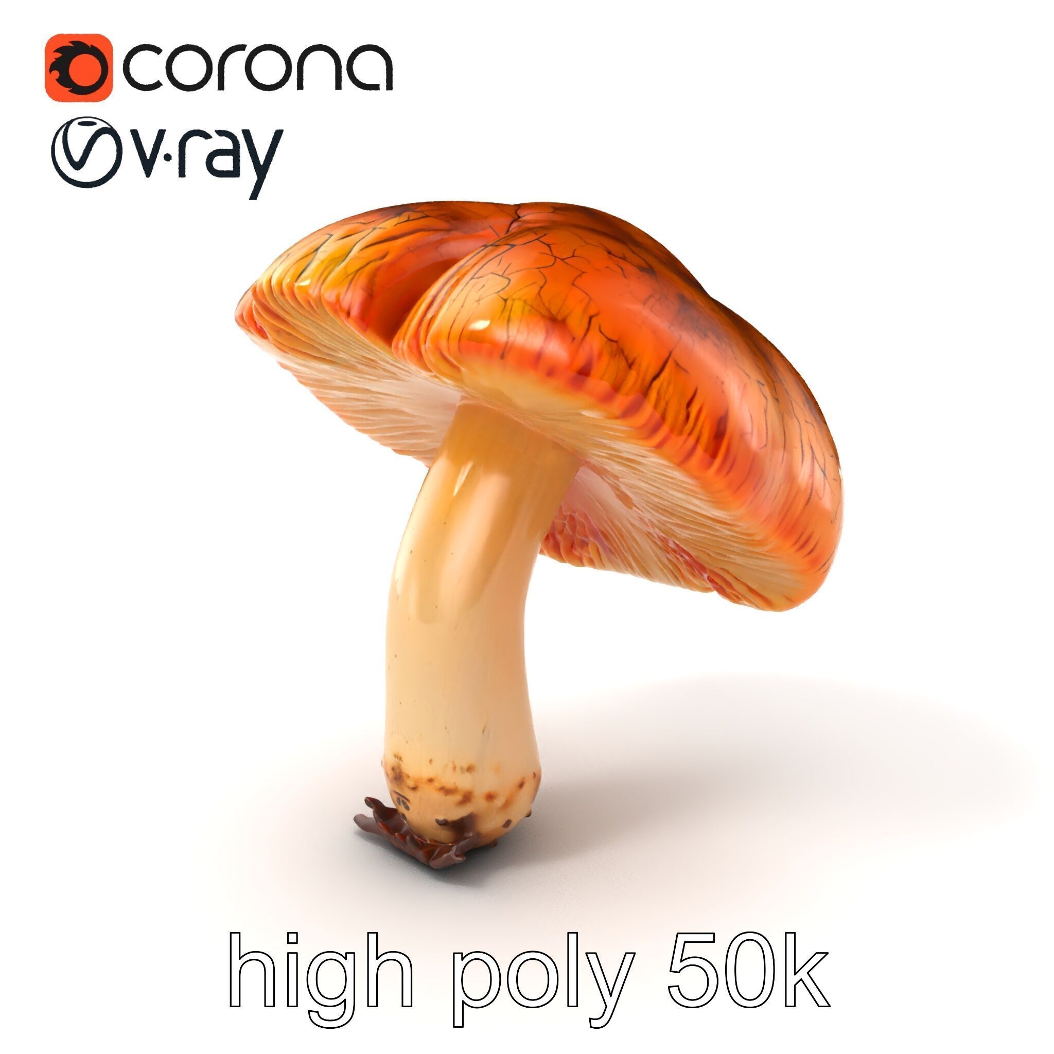 Chanterelle Mushroom Crack Texture Model Pack Low-poly 3D model_2