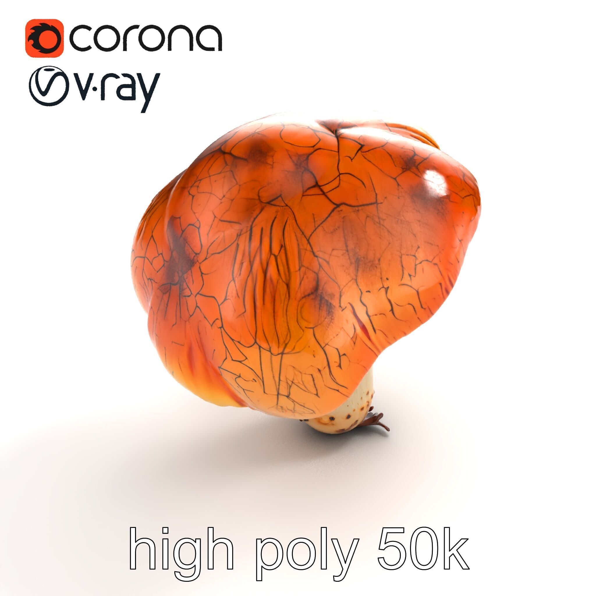 Chanterelle Mushroom Crack Texture Model Pack Low-poly 3D model_18