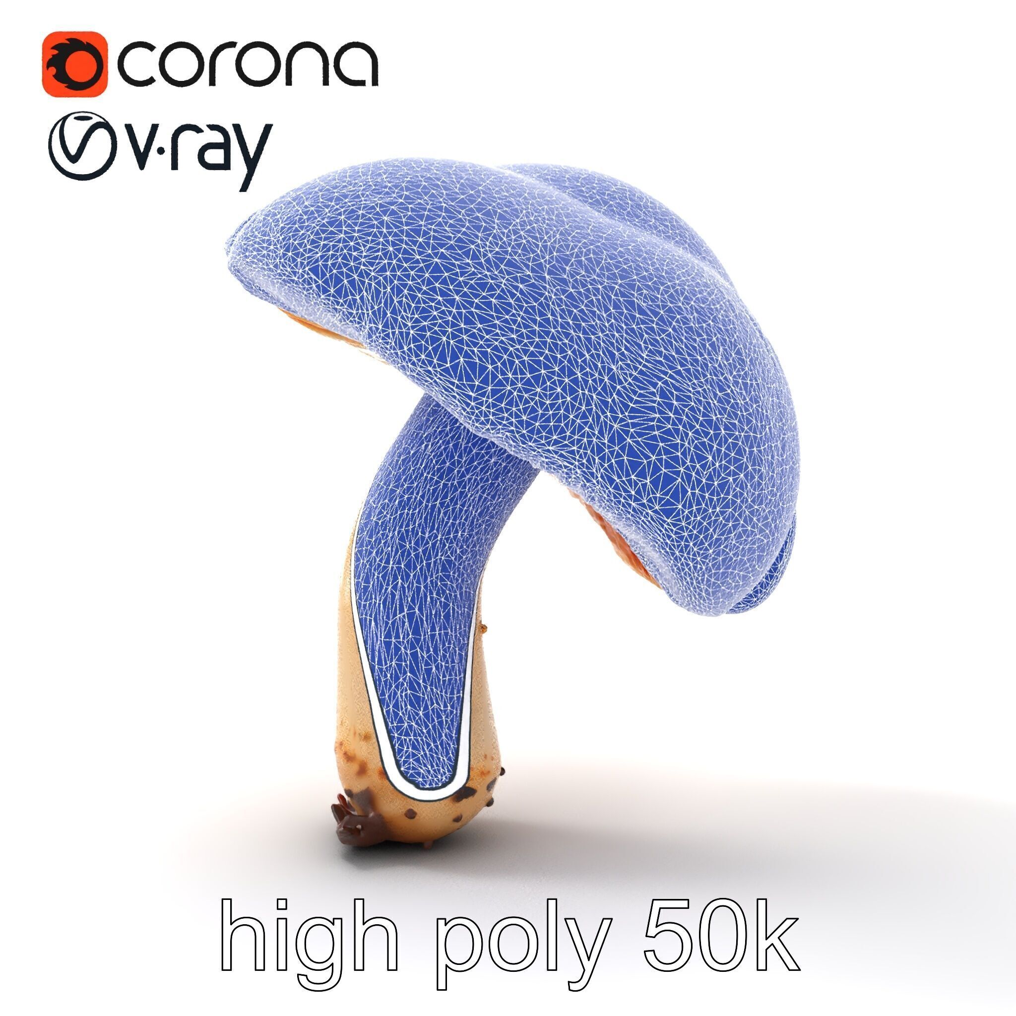 Chanterelle Mushroom Crack Texture Model Pack Low-poly 3D model_26