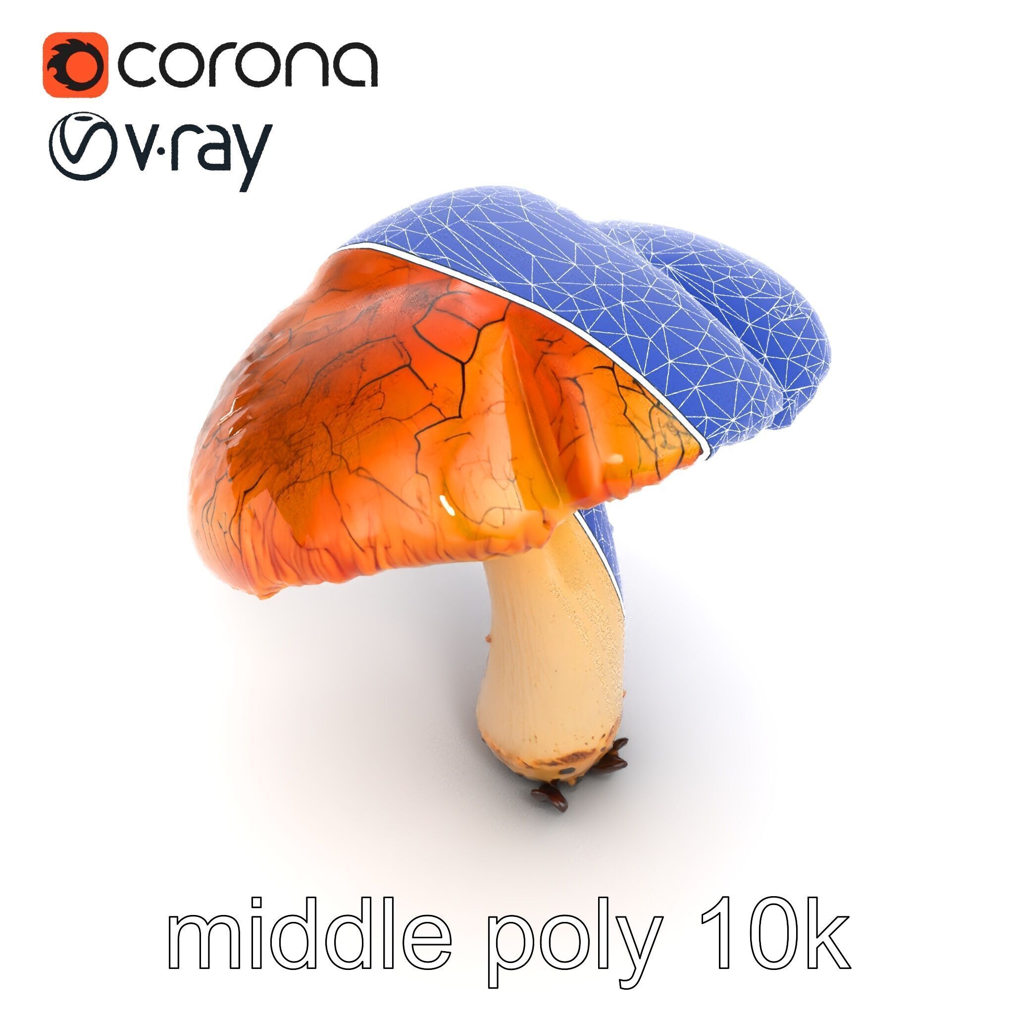 Chanterelle Mushroom Crack Texture Model Pack Low-poly 3D model_14