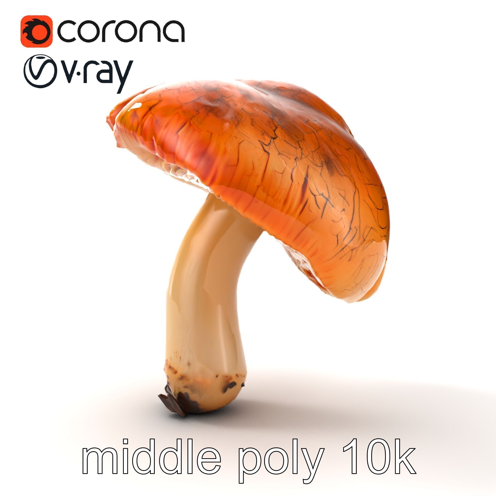 Chanterelle Mushroom Crack Texture Model Pack Low-poly 3D model_16